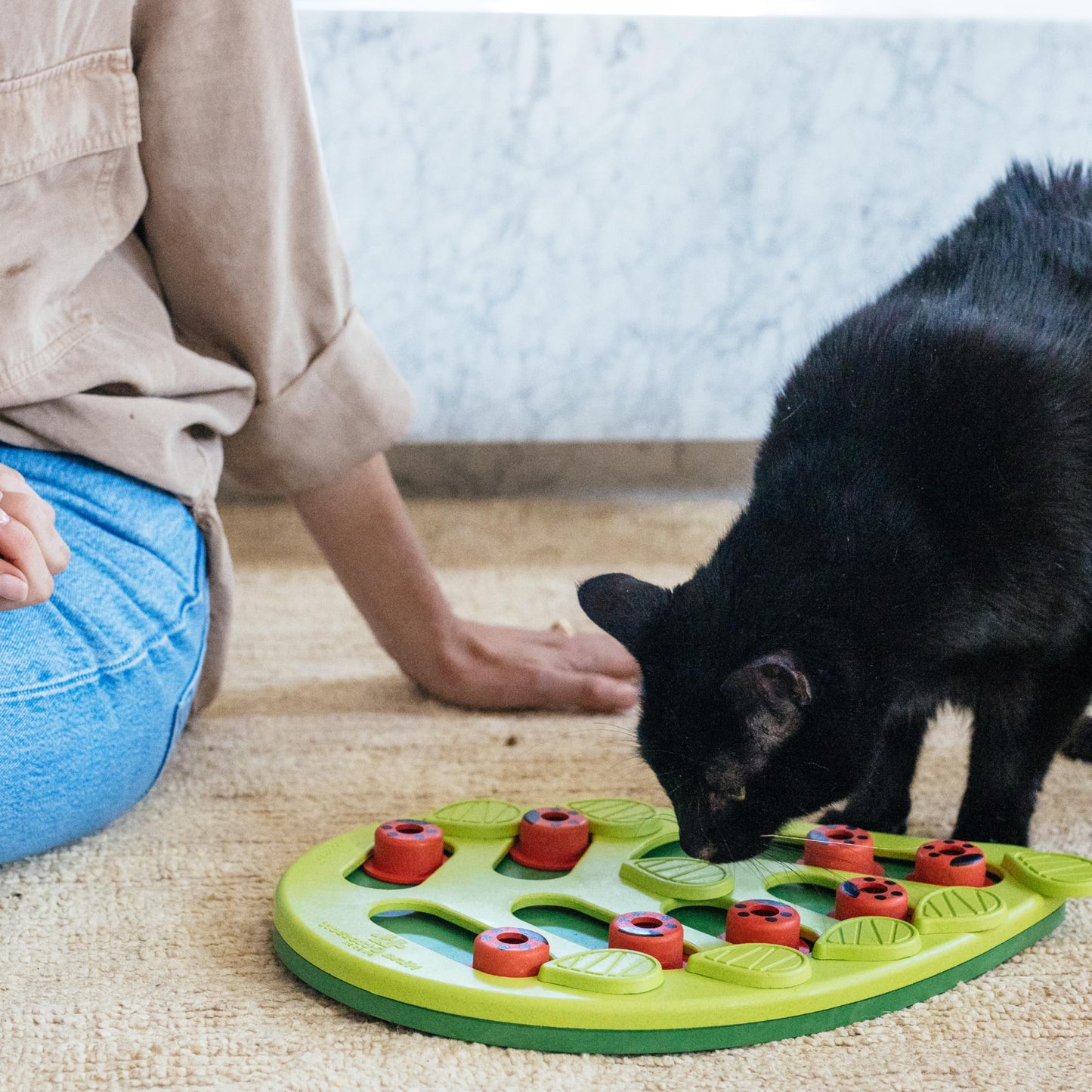 Catstages Buggin' Out Puzzle & Play, Interactive Treat Puzzle Cat Toy 13 in x 9.5 in, Green