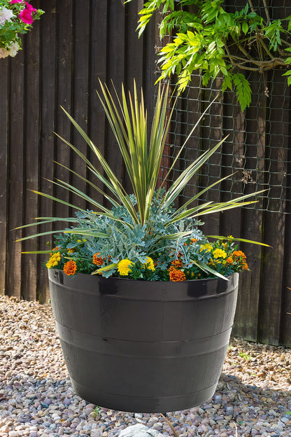 Straame Plant Pot Tub, 50 Liters Gardening Flower Pots - Indoor Or Outdoor Planter - For Multi-Purpose - Makes Your Living Space Bloom (Black Barrel Plantar Large- 45x33x34 cm)