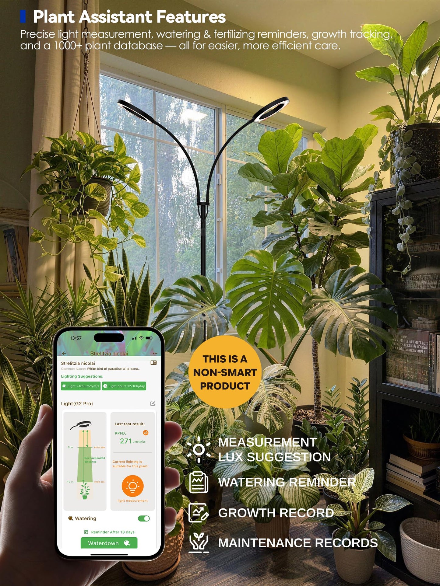 GLOWRIUM Grow Lights for Indoor Plants, Full Spectrum LED Grow Light Floor Lamp with Stand Adjustable Height and Angle, Black Plant Light with 3/9/12H Grow Light Timer (Black, 36W)