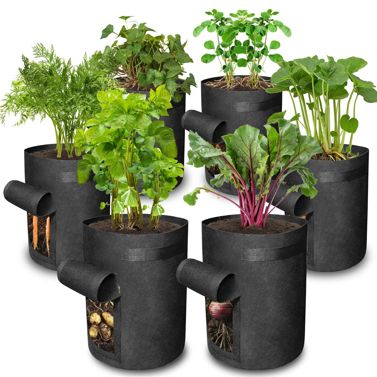 Gardzen 6 Pack BPA-Free 10 Gallon Vegetable Grow Bags with Access Flap and Handles, Suitable for Planting Potato, Taro, Beets, Carrots, Onions, Peanut