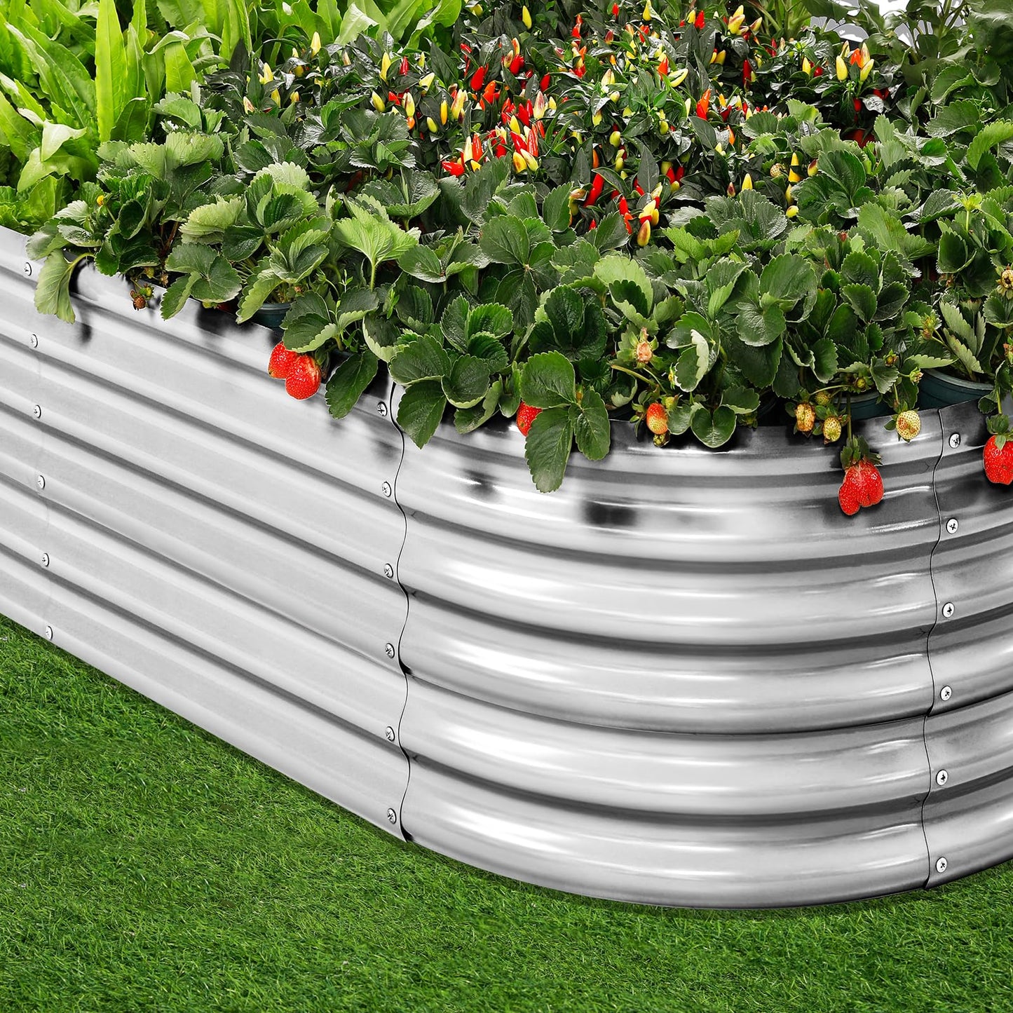 Land Guard 4×2×1.5ft Galvanized Raised Garden Bed Kit, Galvanized Planter Garden Boxes Outdoor, Oval Large Metal Raised Garden Bed for Vegetables……… (Classic Silver