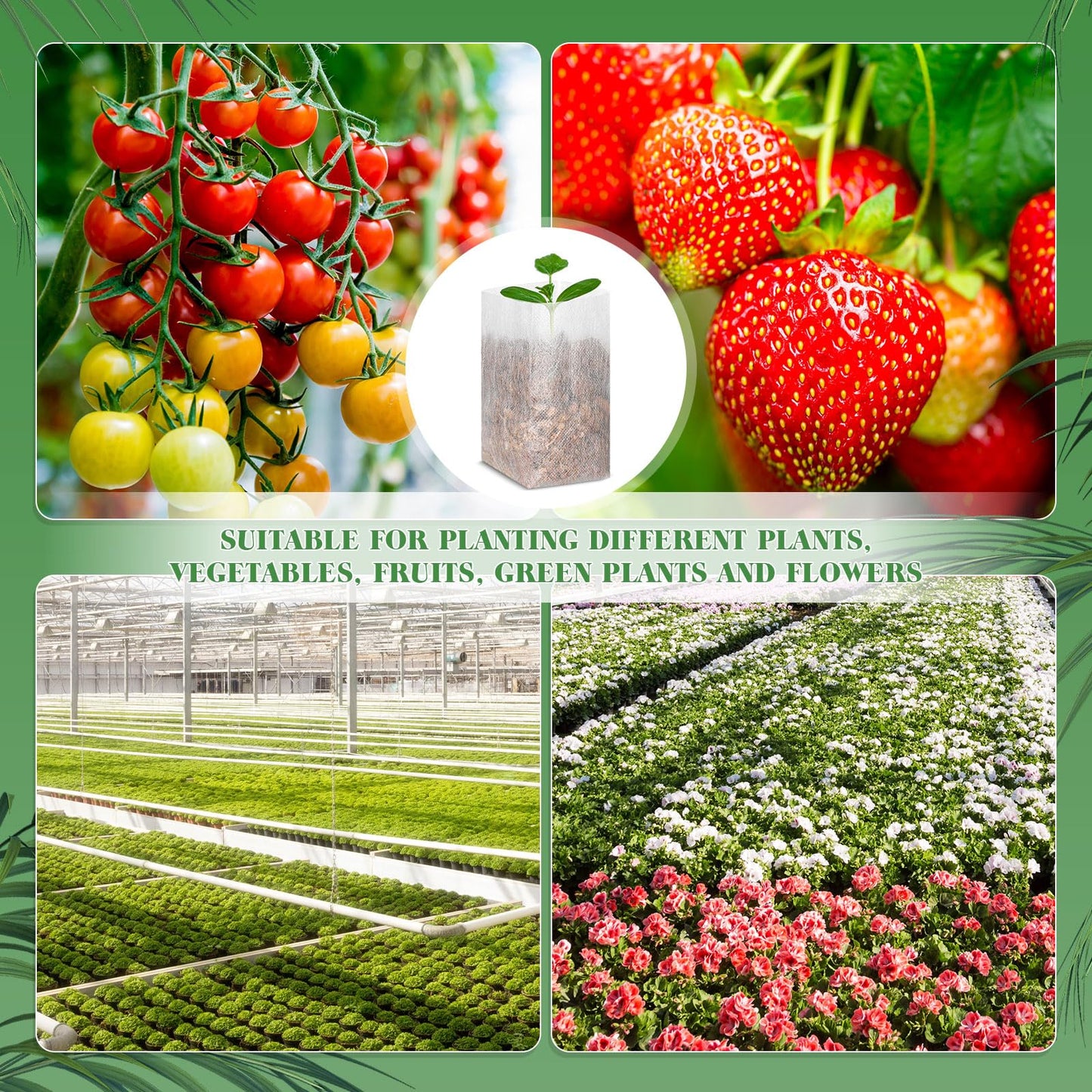 Wesnoy 1000 Pcs Nursery Seed Non Woven Plants Nursery Bags 5.9 x 6.3 Inch Fabric Seedling Pots Grow Bags Plants Pouch for Vegetables Flower for Home Garden Greenhouse Supplies
