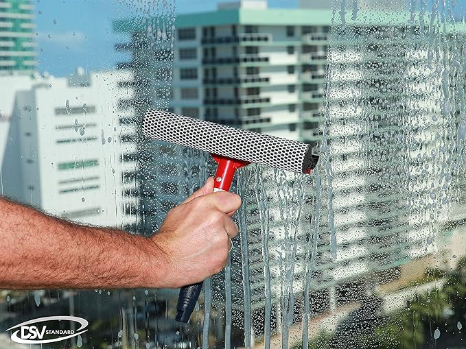 DSV Standard Window Squeegee for Window Cleaning, Window Cleaner Tool for Car