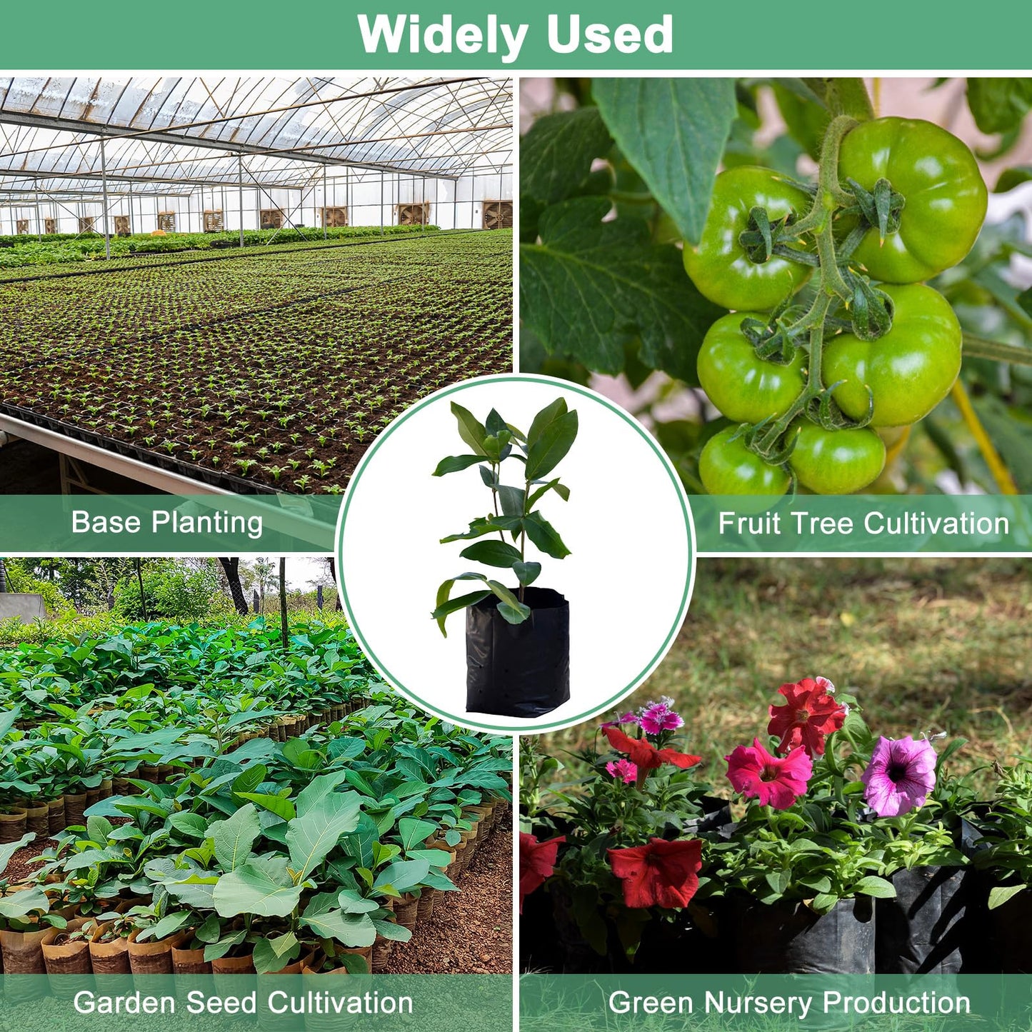 M METERXITY 50-Pack Nursery Growing Bags, 9.4" x 10.6" Thicken Plastic Nursery Bags, Gardening Seed Plant Bags for Potato/Flower/Tomato/Plant Starts/Home Gardening Supplies [Black]
