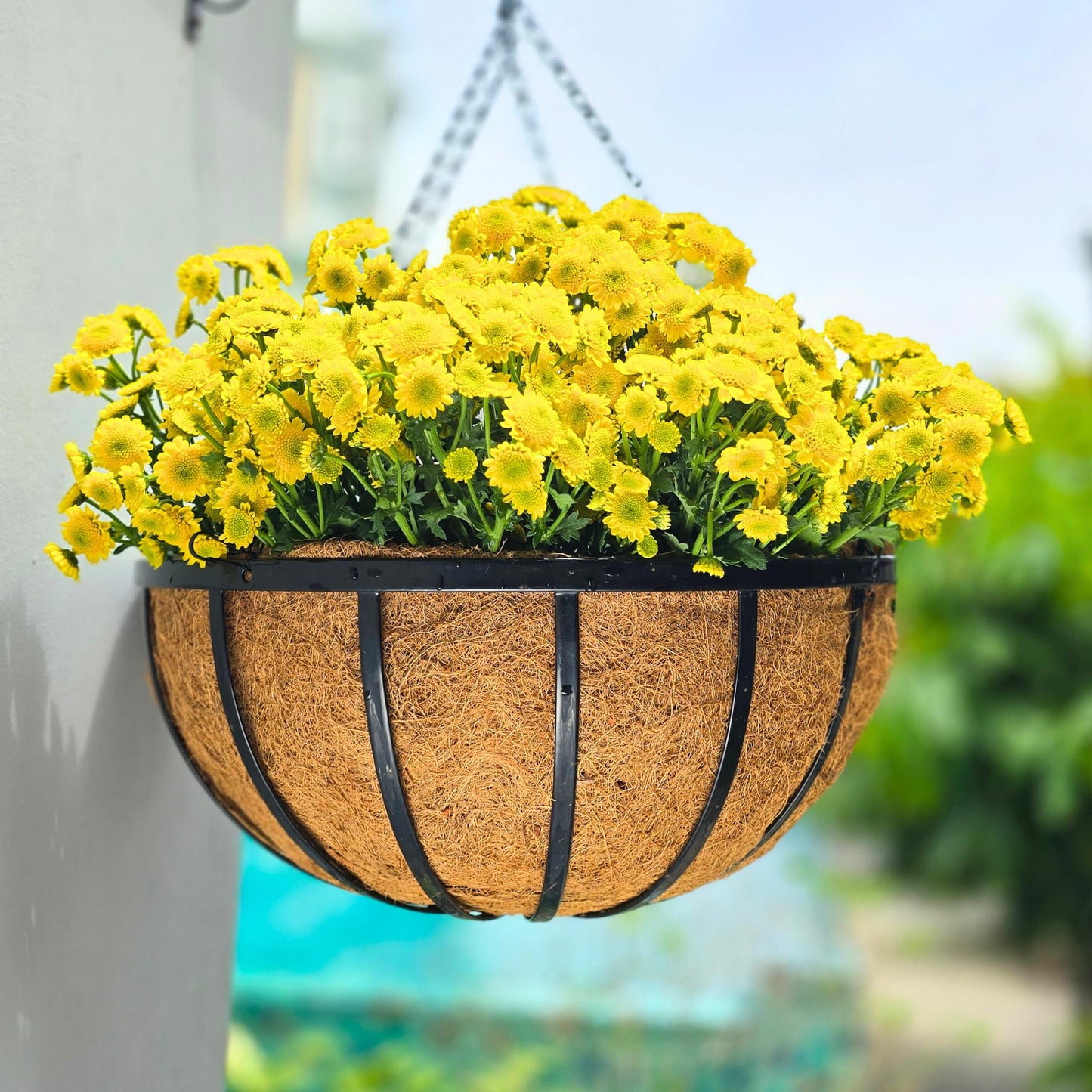 LaLaGreen Outdoor Hanging Baskets for Plants (20 Inch, 4 Pack) Extra Large Black Metal Flat Iron Hanging Planter with Coco Liner Round Flower Pot Holder Deck Porch Modern Garden Balcony Rustic Decor