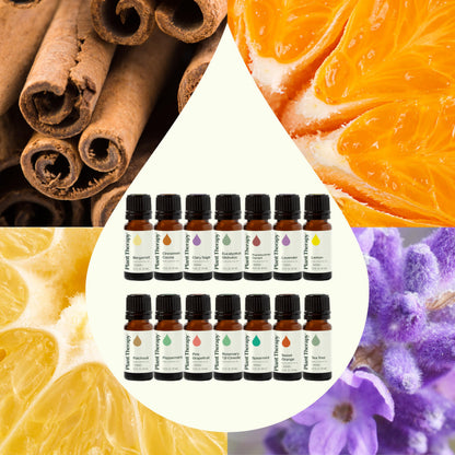 Plant Therapy Top 14 Singles Set Lavender, Eucalyptus, Peppermint, Orange Sweet, Lemon & More 100% Pure, Undiluted, Natural Aromatherapy for Topical Use & Diffusion, Therapeutic Grade 10 mL (1/3 oz)