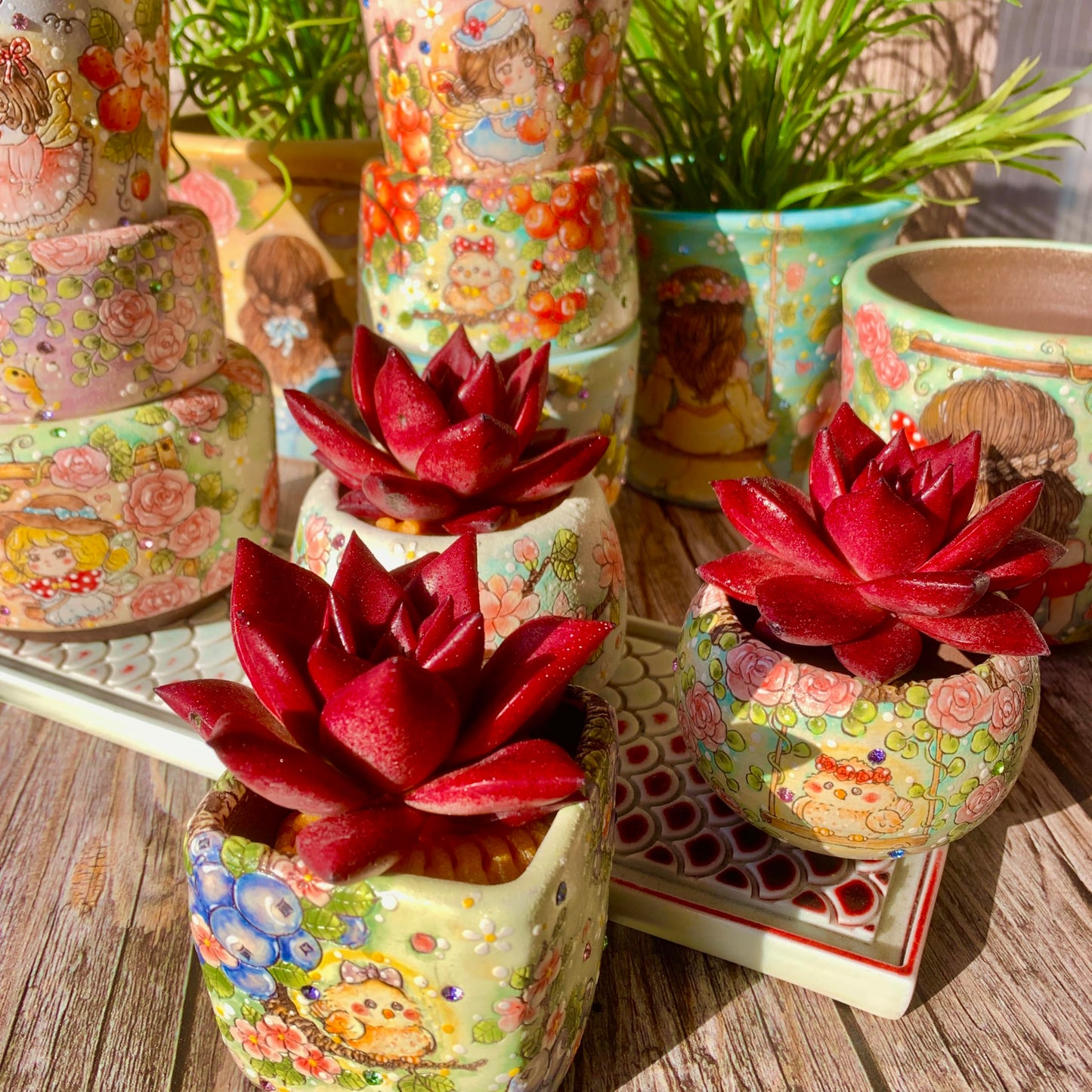 Echeveria Agavoides v Romeo Rubin Succulent Kit - with Plastic Pot, 1 Head 2.5" Live Plant, Compressed Soil & Guide, for Garden Indoor Office Desk (1, Echeveria Agavoides v Romeo Rubin)