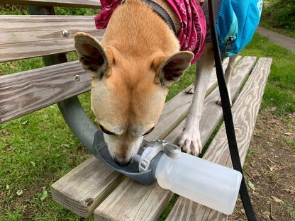 Lixit Hand Held Foldable Travel Hiking Outdoor Watering Bottle Bowl for Dogs (Pack of 1, Granite)