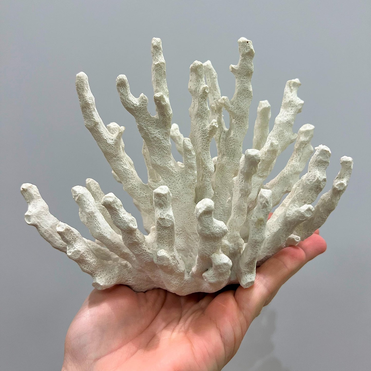 Abbott Collection 20-SEASHORE/25 Large White 3D Starfish Decorative Resin Figurine