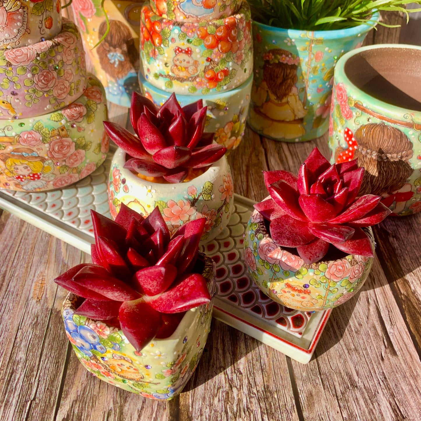 Echeveria Agavoides v Romeo Rubin Succulent Kit - with Plastic Pot, 1 Head 2.5" Live Plant, Compressed Soil & Guide, for Garden Indoor Office Desk (1, Echeveria Agavoides v Romeo Rubin)