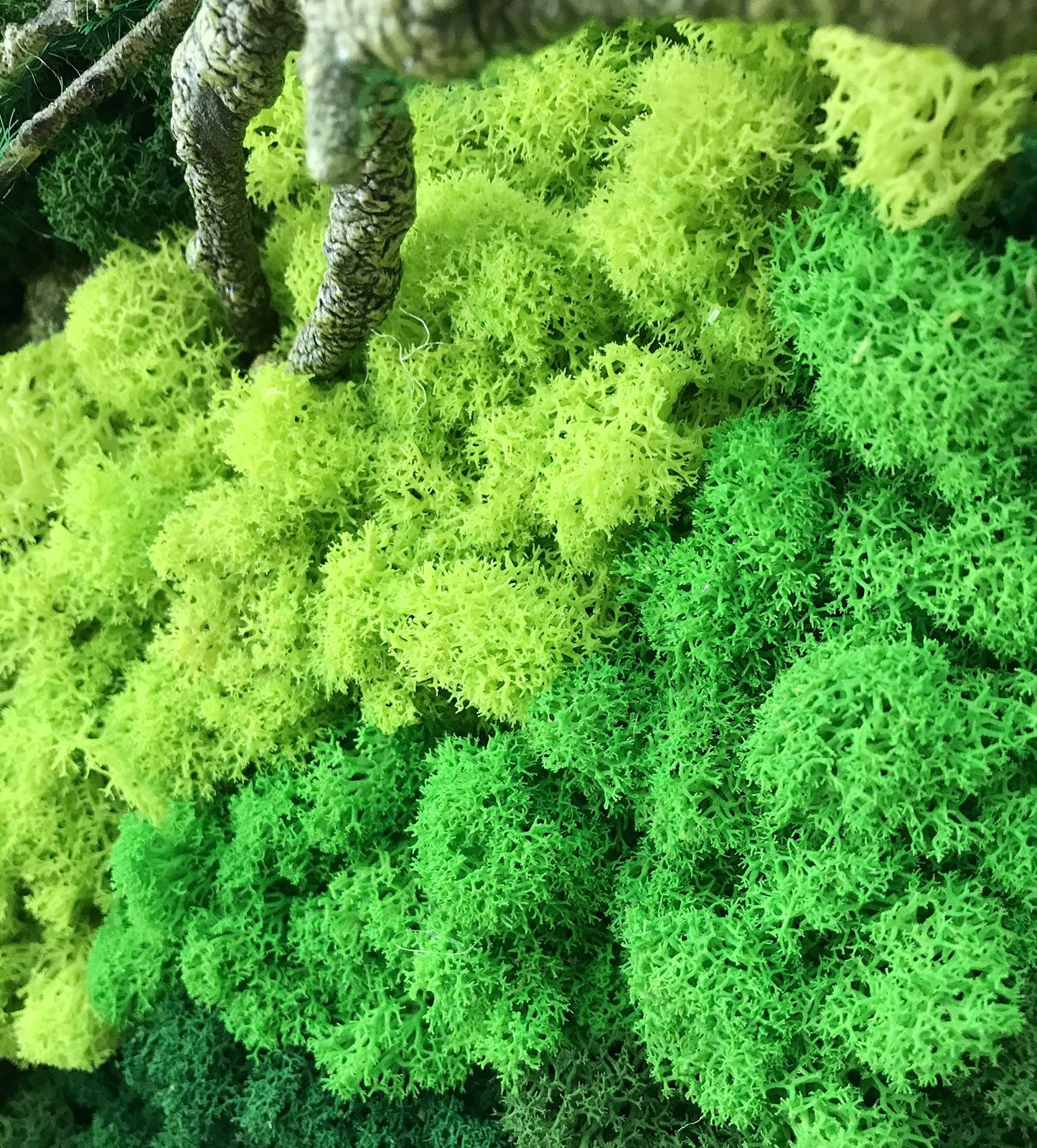 LVZHIHUAN Moss Wall decor Real Preserved Moss No Maintenance Required Eco Natural Green Wall Art Moss Frame Living Plants Vertical Garden 19.7 x13.8inch,Black Frame