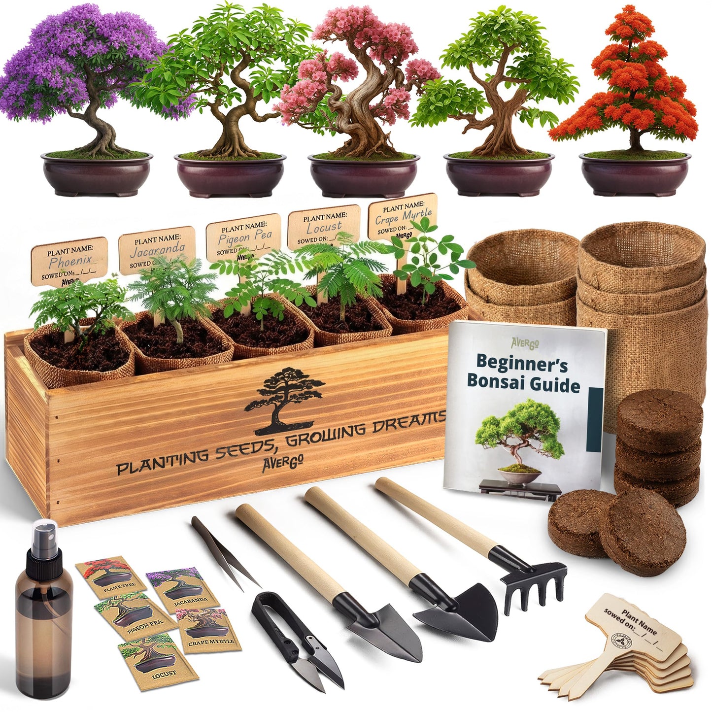 AVERGO Bonsai Tree Kit Classic - 5X Unique Japanese Bonzai Trees | Complete Indoor Bonsai Starter Kits for Growing Trees – DIY Gardening Gifts for Mother's Day, Women & Men