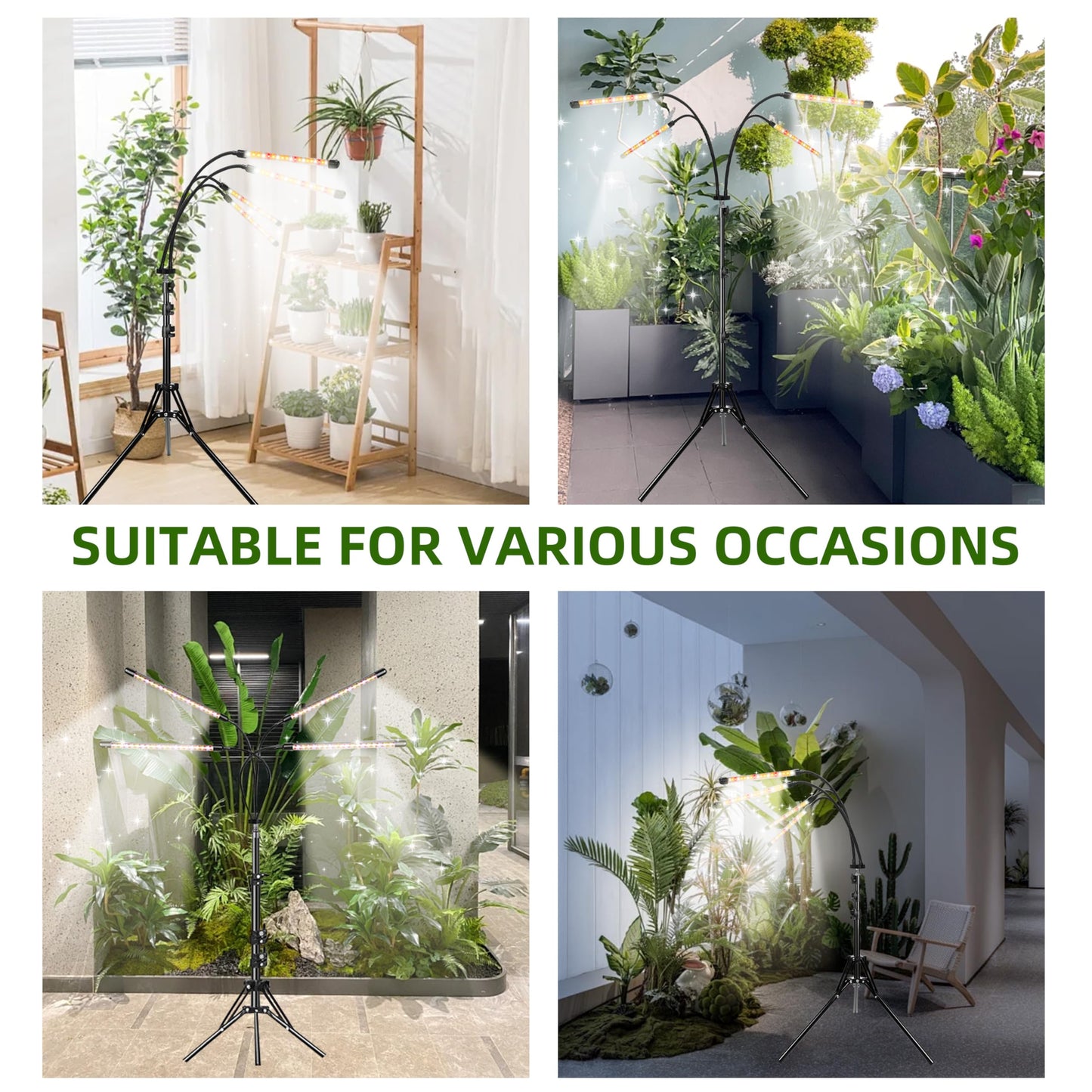 Grow Lights with Stand for Indoor Plants