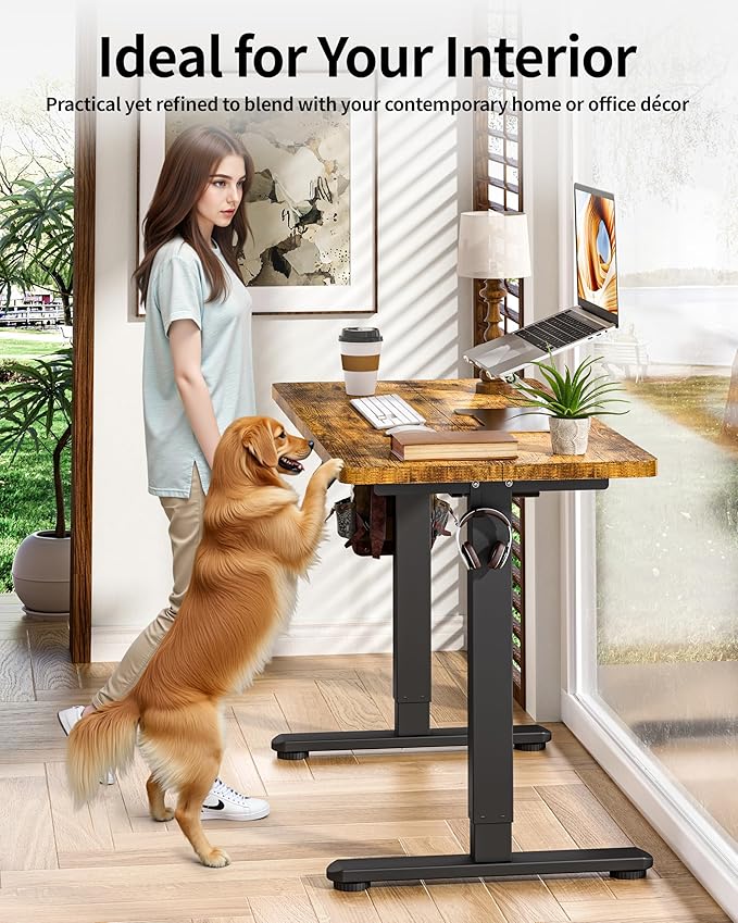 BIZUM Standing Desk Electric Adjustable Computer Desk-Stand up Desk Office