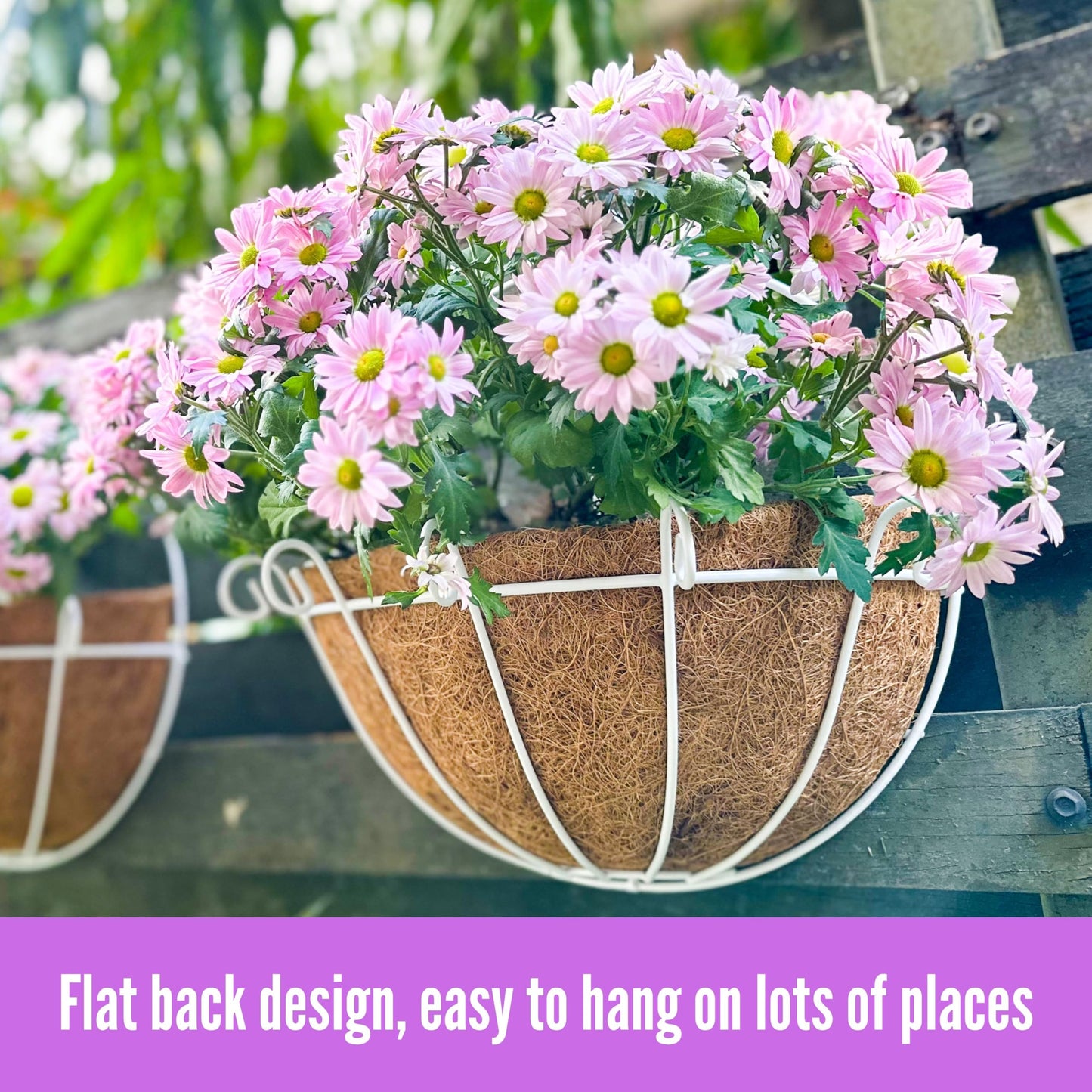 Shoplala Wall Planters Outdoor Plants (2 Pack, 10 Inch) White Metal Wall Mounted Flower Basket with Coco Liner, Balcony Planters Railing Hanging Fence Planter Wire Deck Porch Patio Modern Garden Decor