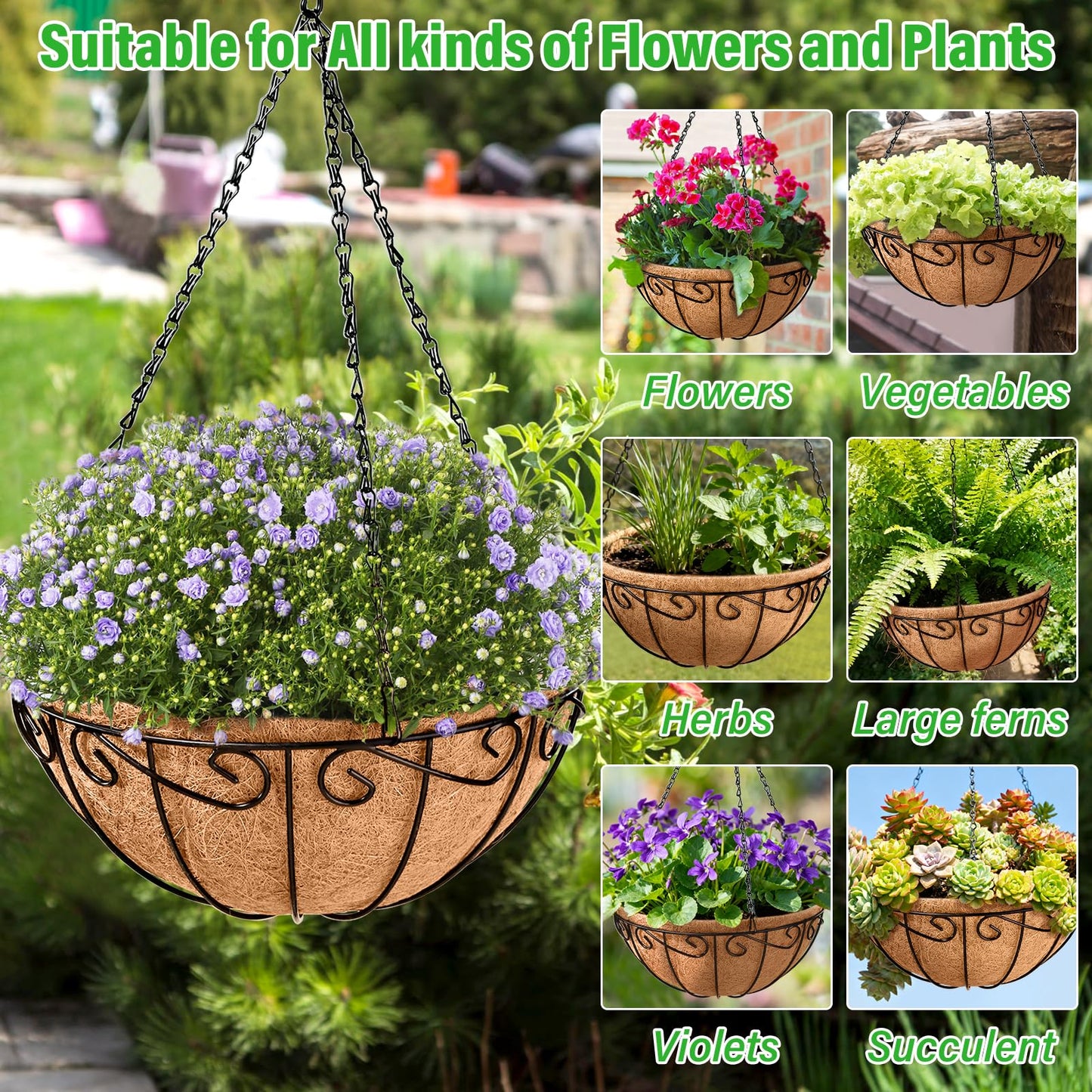 Legigo 6 Pack 10 Inch Metal Hanging Baskets for Plants Outdoor- Round Wire Hanging Planters Basket with Coconut Coir Liner, Hanging Flower Pot for Outdoor Plants Flowers Garden Decorations