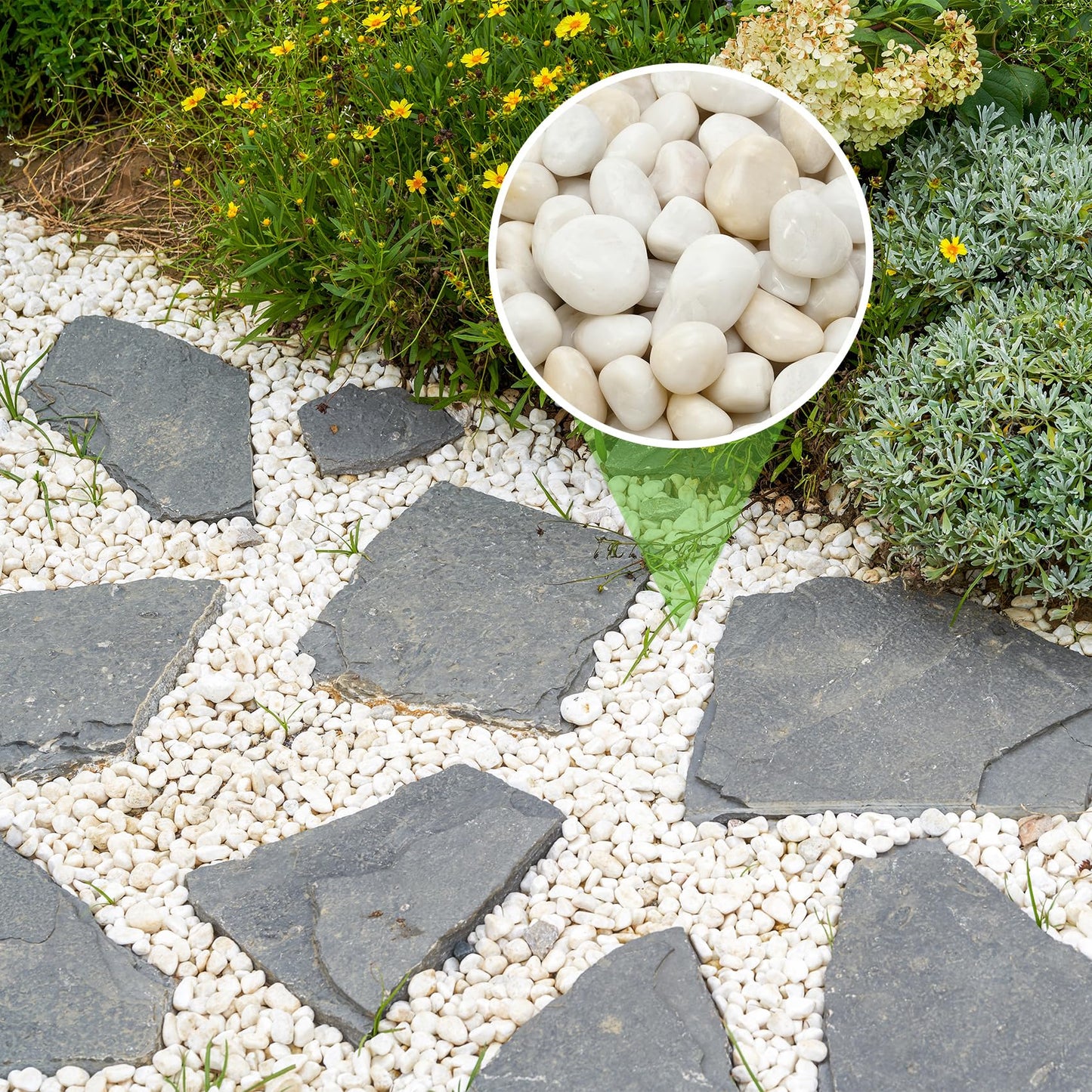 Mr. Fireglass 5lb White River Rocks, 3/8 inch Natural Decorative Polished Pebbles Aquarium Gravel Stones for Landscaping, Indoor Plants, Vase, Succulent, Fish Tank