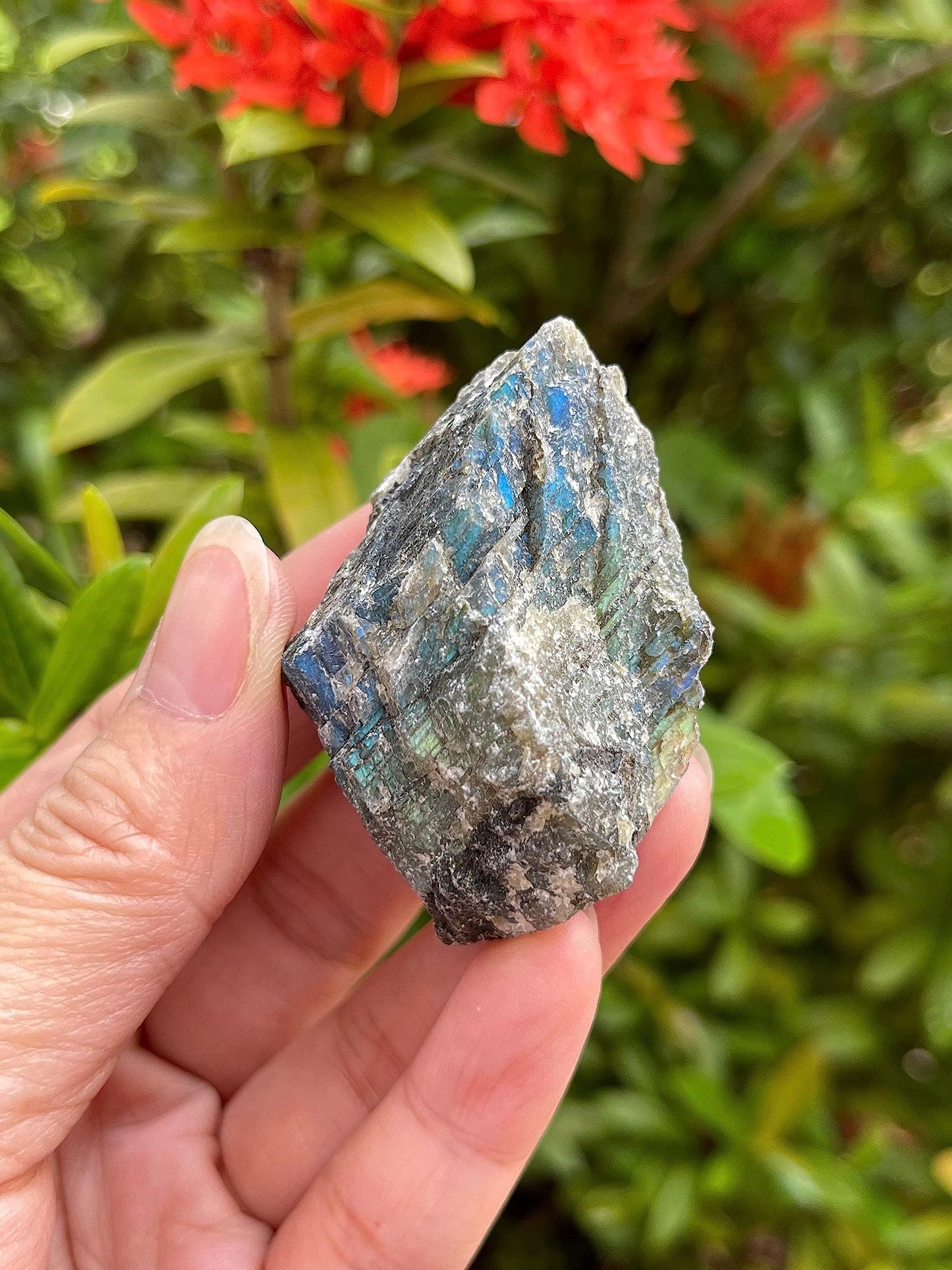 GAF TREASURES 1 Pound Raw Labradorite - Natural Labradorite Stone, Natural Rough Labradorite, Labradorite Rough, Labradorite Rocks (Labradorite)