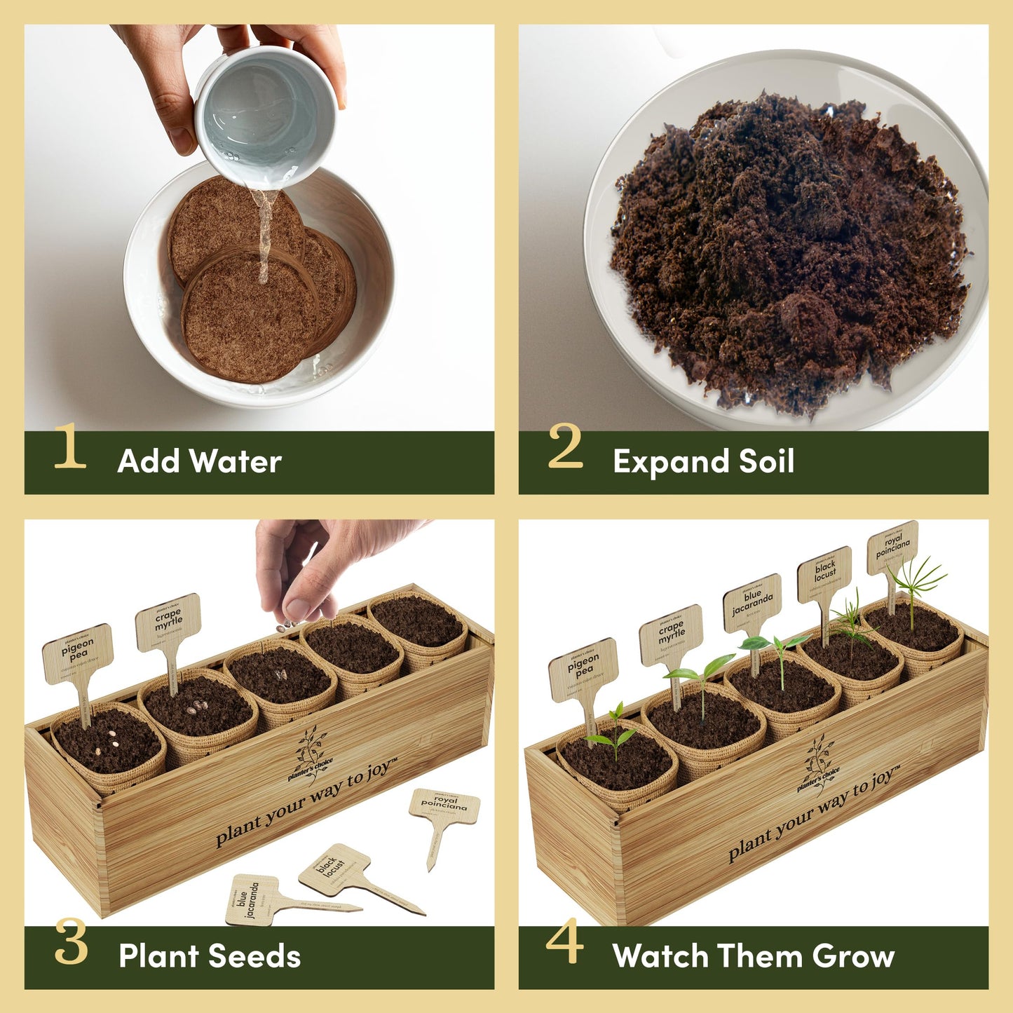 Planter's Choice Bonsai Tree Starter Kit - Mothers Day Gifts for Women, Men - Birthday Gifts for Adults - Indoor Live House Plants - DIY for Adults Craft Kits - Unique Hobby Gift Gardening Lovers