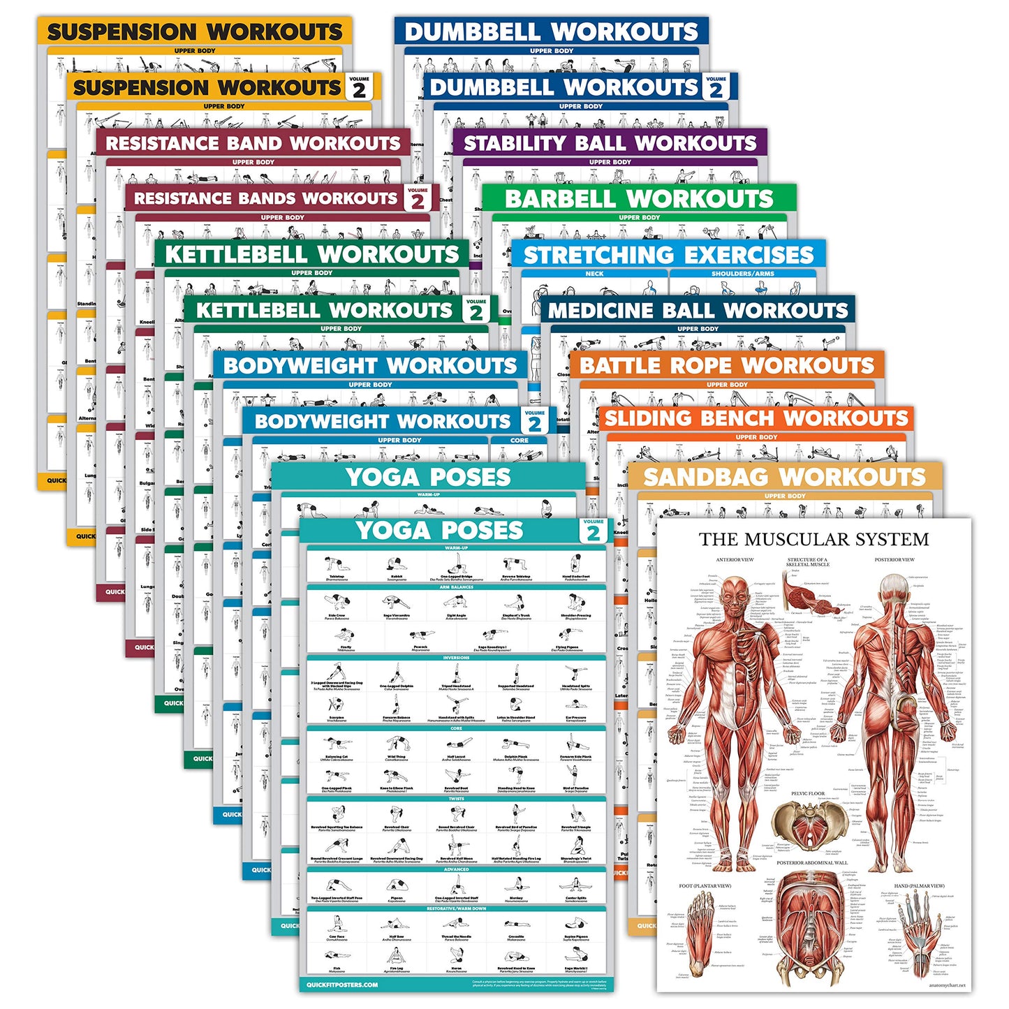 20 Pack - Exercise Poster Set, Dumbbell, Suspension, Battle Rope, Stretching, Bodyweight, Barbell, Yoga, Exercise Ball, Muscular, Kettlebell, Resistance Bands and More (LAMINATED, 18" x 24")