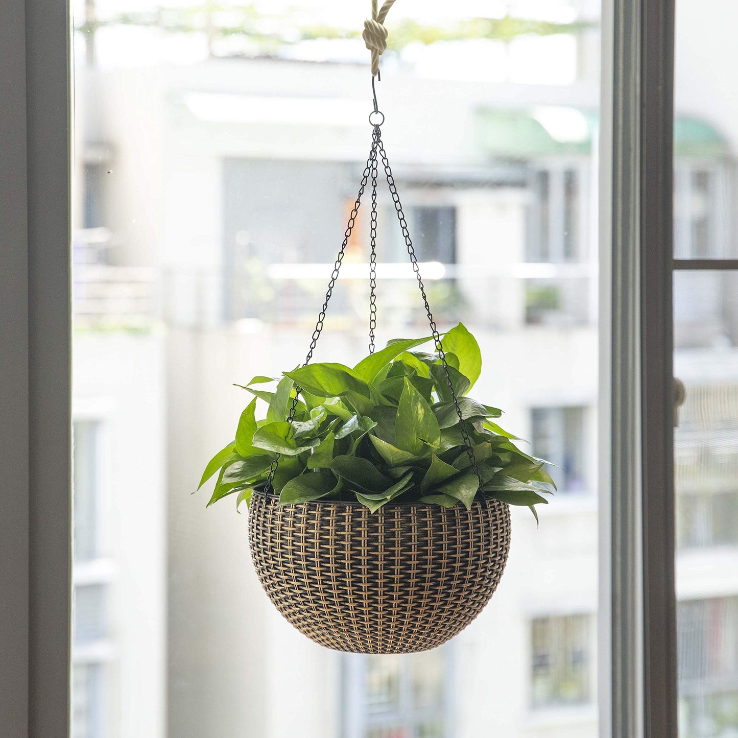 10" Self Watering Bronze Hanging Basket Flower Planter