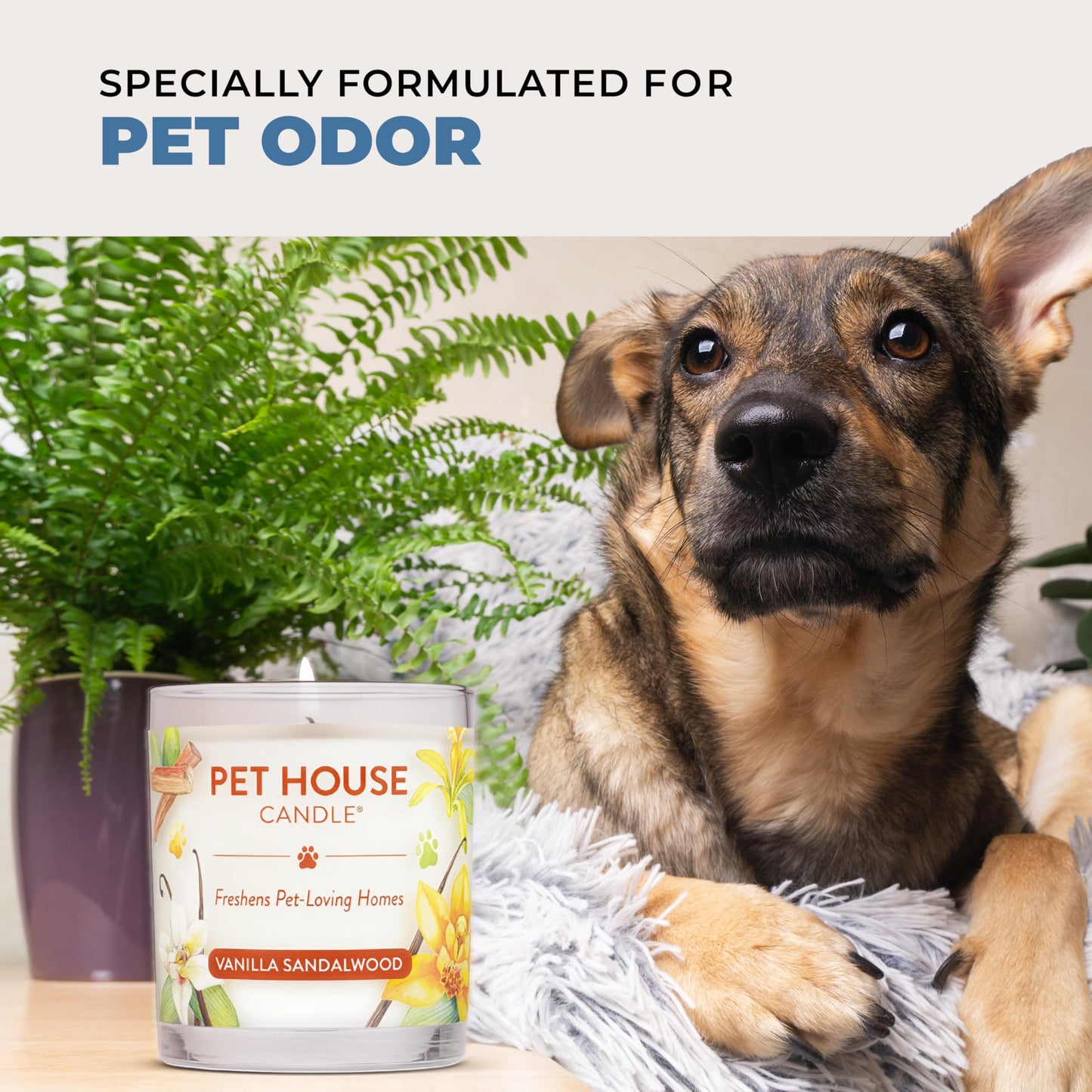 Pet House Candles, Plant-Based Pet Candle Clean Burning, 60 Hour Burn Time with a Natural Fiber Wick - Bamboo Watermint