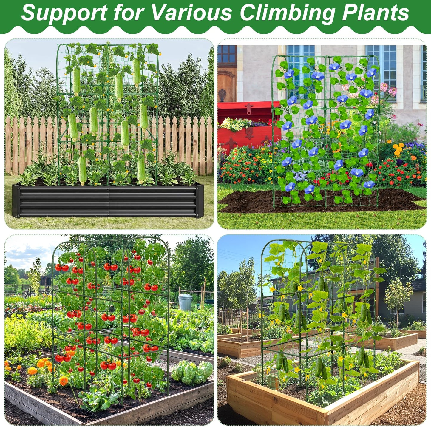 Cucumber Trellis for Raised Bed 50 x 34 Inch U-Shape Garden Trellis for Climbing Plants Outdoors Metal Garden Cucumbers Arch Trellis, Cucumber Plant Support for Tomato, Pea, Zucchini, Vine Flower