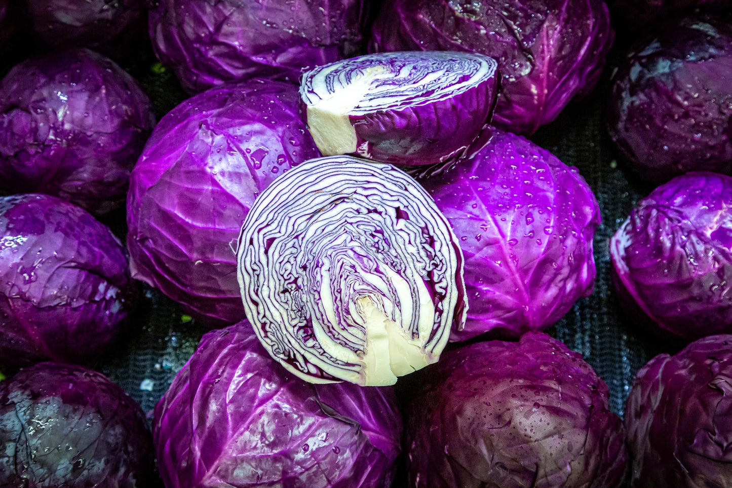 Cabbage Seeds for Planting - Plant & Grow Red Acre Cabbage in Your Home Outdoor Vegetable Garden - Heirloom Non GMO Planting Packets with Full Instructions - Great Gardening Gift, 5 Packets