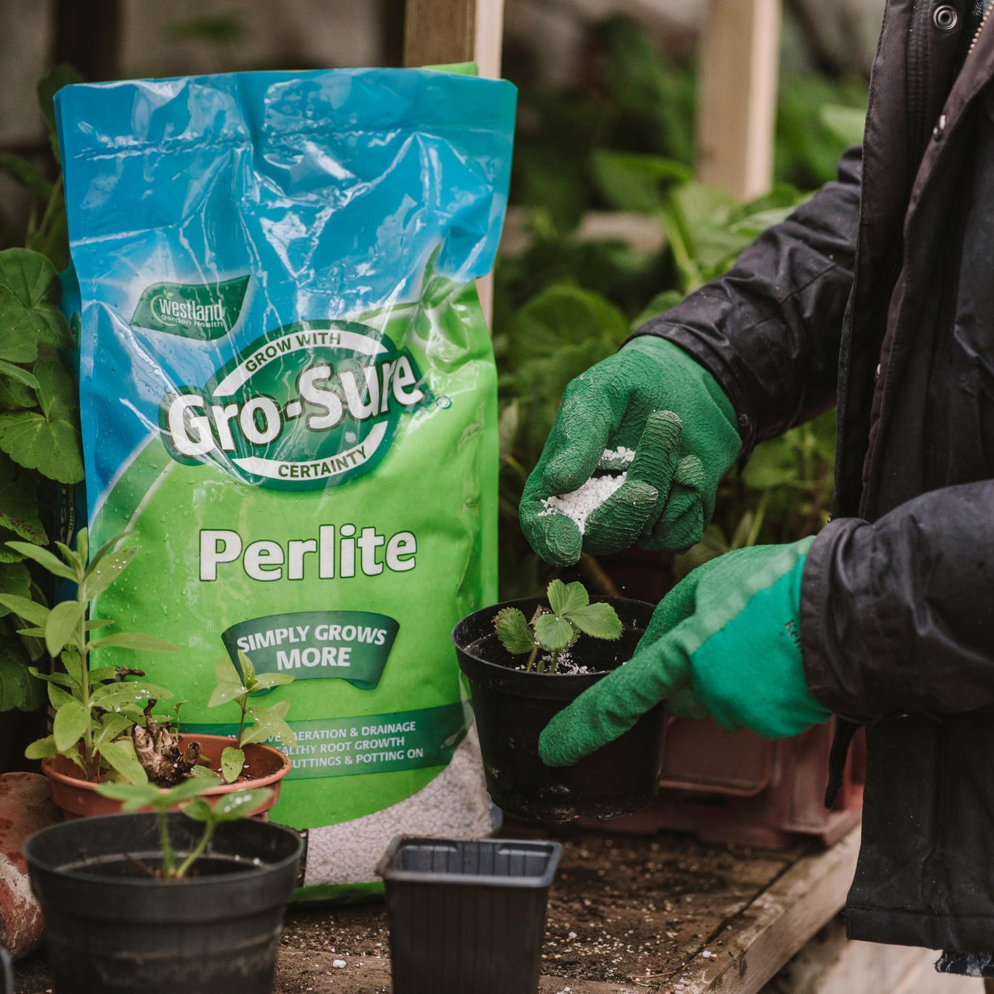 GRO-Sure 20100270 Perlite, 10 L