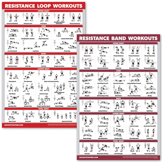 QUICKFIT 2 Pack - Resistance Bands and Loops Workout Posters - Set of 2 Laminated Charts - Band Tubes and Loops Exercise Charts (Laminated, 18" x 24")