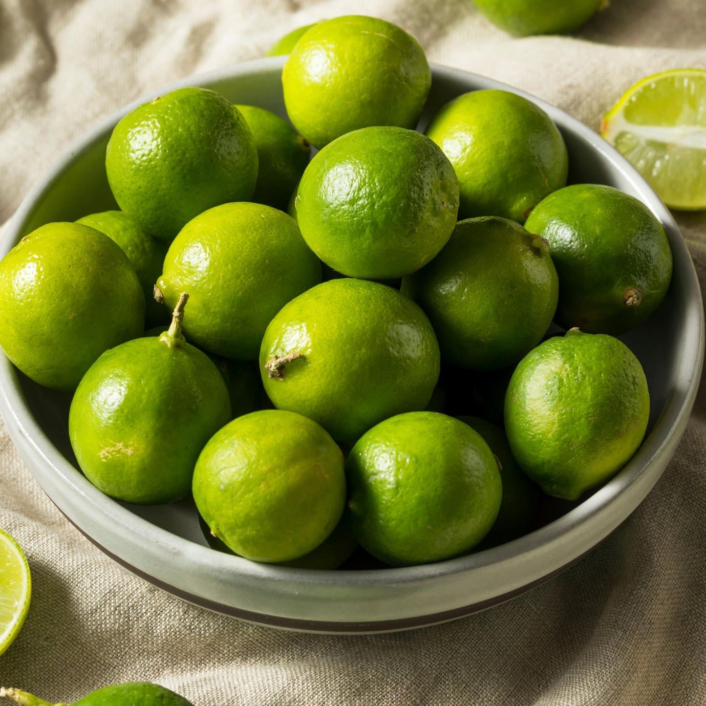 1 Live Citrus Plant, 1 to 2 ft Tall, 1 Gallon Pot, Fragant Smell with Blooming Flowers or Fruits - Cannot Ship to CA, TX, AZ, LA, HI (Key Lime)