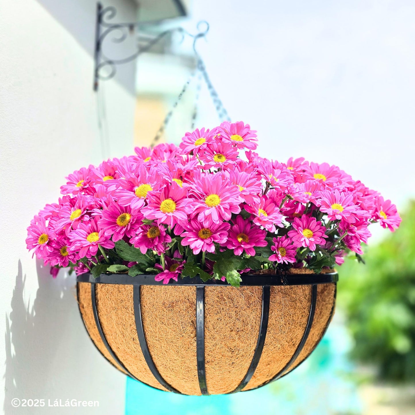 LaLaGreen Outdoor Hanging Baskets for Plants (20 Inch, 4 Pack) Extra Large Black Metal Flat Iron Hanging Planter with Coco Liner Round Flower Pot Holder Deck Porch Modern Garden Balcony Rustic Decor