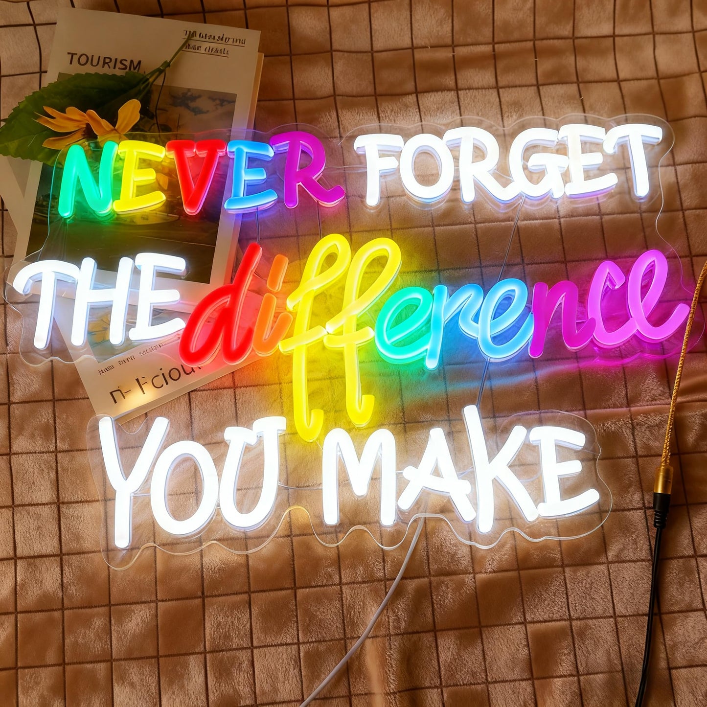 Never Forget The Difference You Make Neon Sign, Dimmable LED Neon Signs for Wall Decor, USB Powered Neon Light Sign Wall Art for Bedroom Christmas Party Classroom Decoration 16.14 x 11.81"