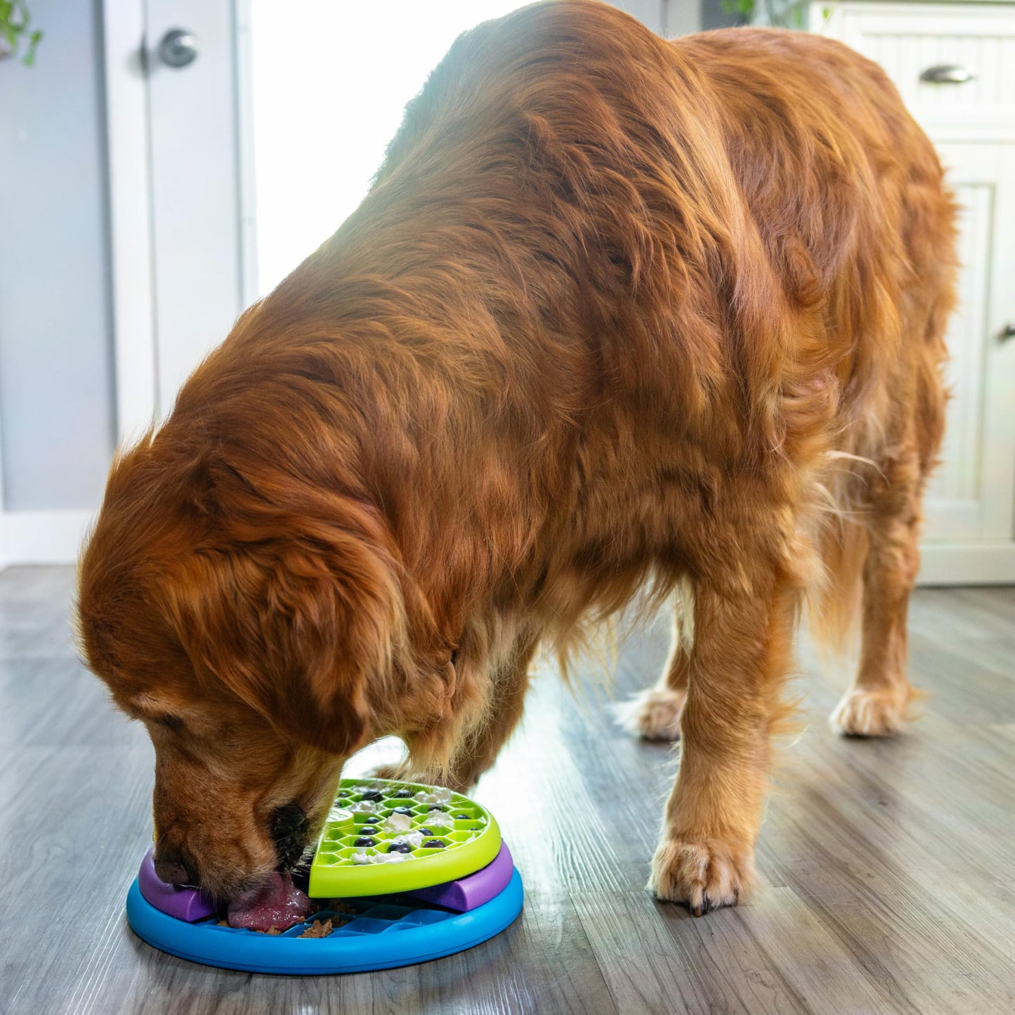 Outward Hound Nina Ottosson Interactive Dog Toys - Medium Level 2 - Dog Puzzle Feeder & Treat Dispenser for Boredom Relief, Mental Stimulation, Dog Enrichment - Reduces Anxiety, Engages Smart Dogs
