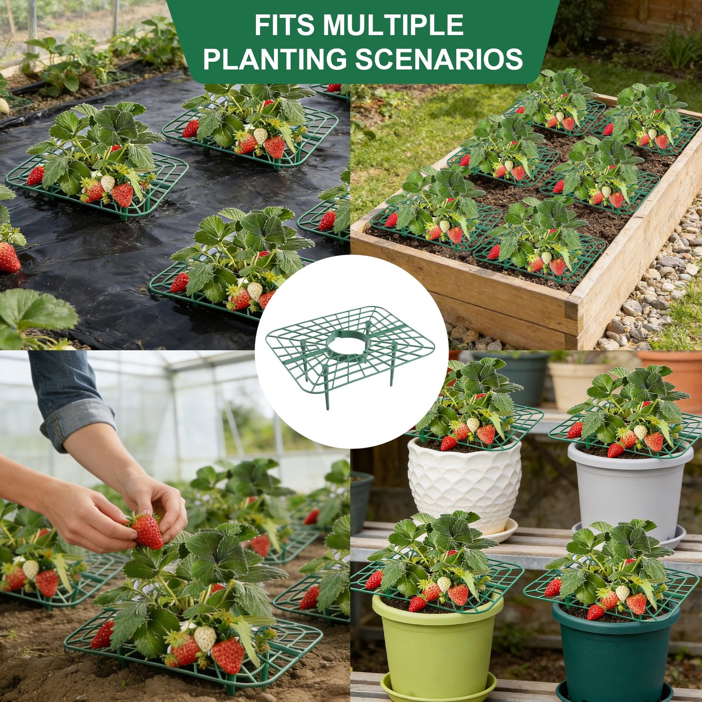 10-Packs Strawberry Plant Support, Reusable Strawberry Garden Trellis & Plant Holder-Keeps Berries Off the Ground for Pots & Backyard Raised Bed Gardens Home Gardeners