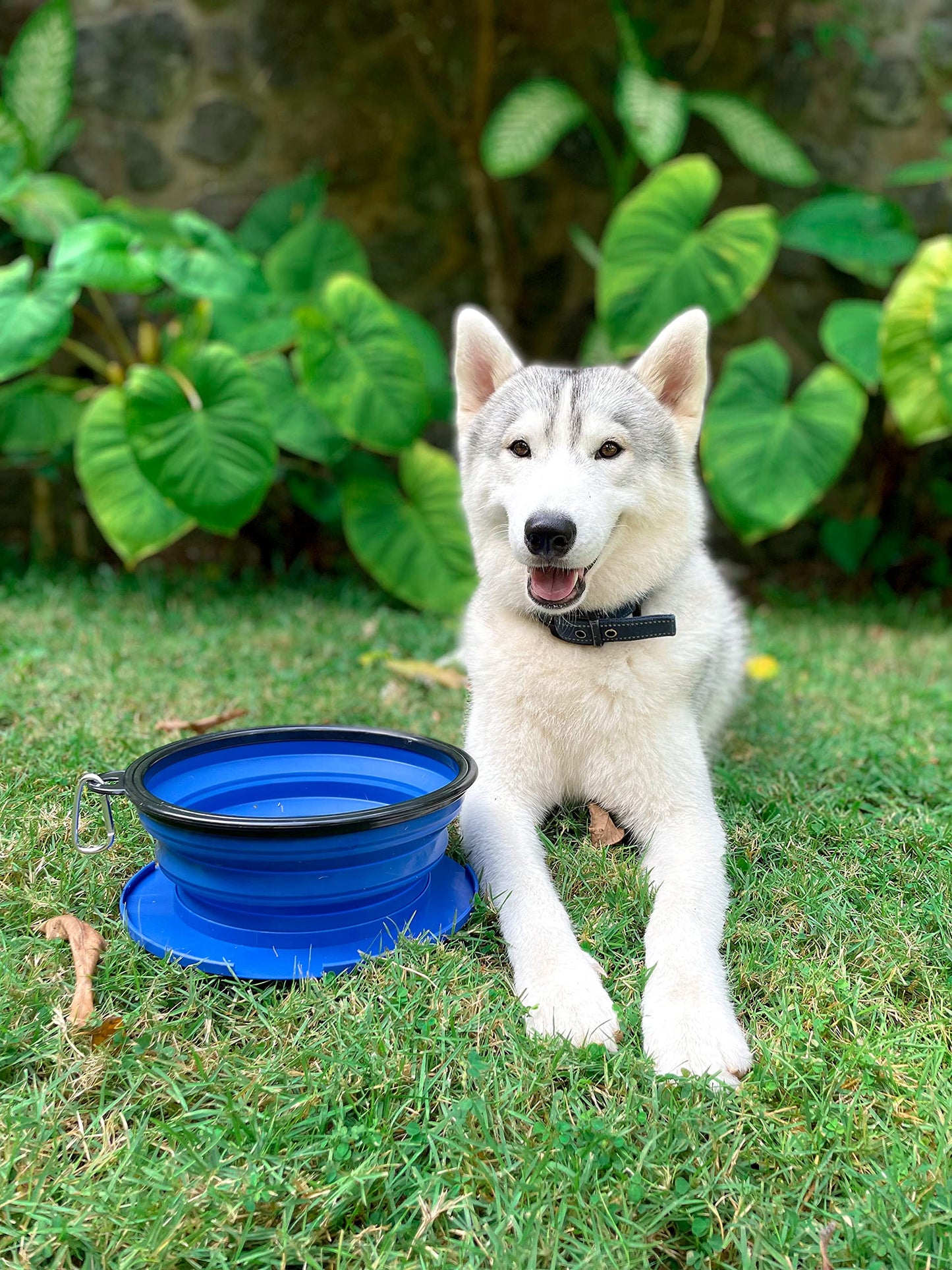 Tuff Pupper SuperBigSlurp Collapsible Dog Bowls, Extra Large Capacity, Portable, Food Safe, Odorless, Non-Toxic Silicone