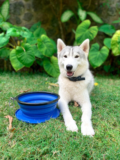 Tuff Pupper SuperBigSlurp Collapsible Dog Bowls, Extra Large Capacity, Portable, Food Safe, Odorless, Non-Toxic Silicone