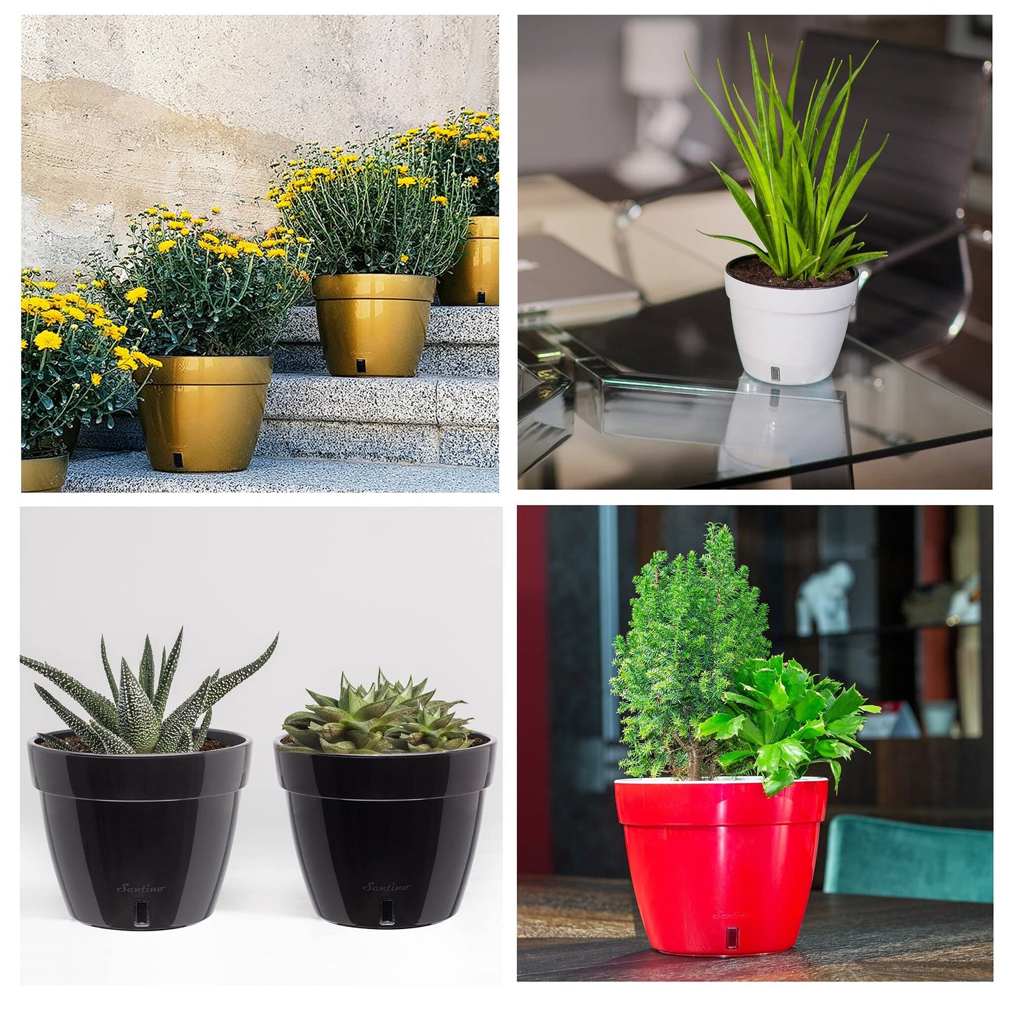 Santino ASTINO 9.2 Inch Self Watering Planter Green-Gold/White for Indoor Plants - Premium Quality Plastic Pot with Water Level Indicator for All House Herbs, Plants, African Violets and Dahlias