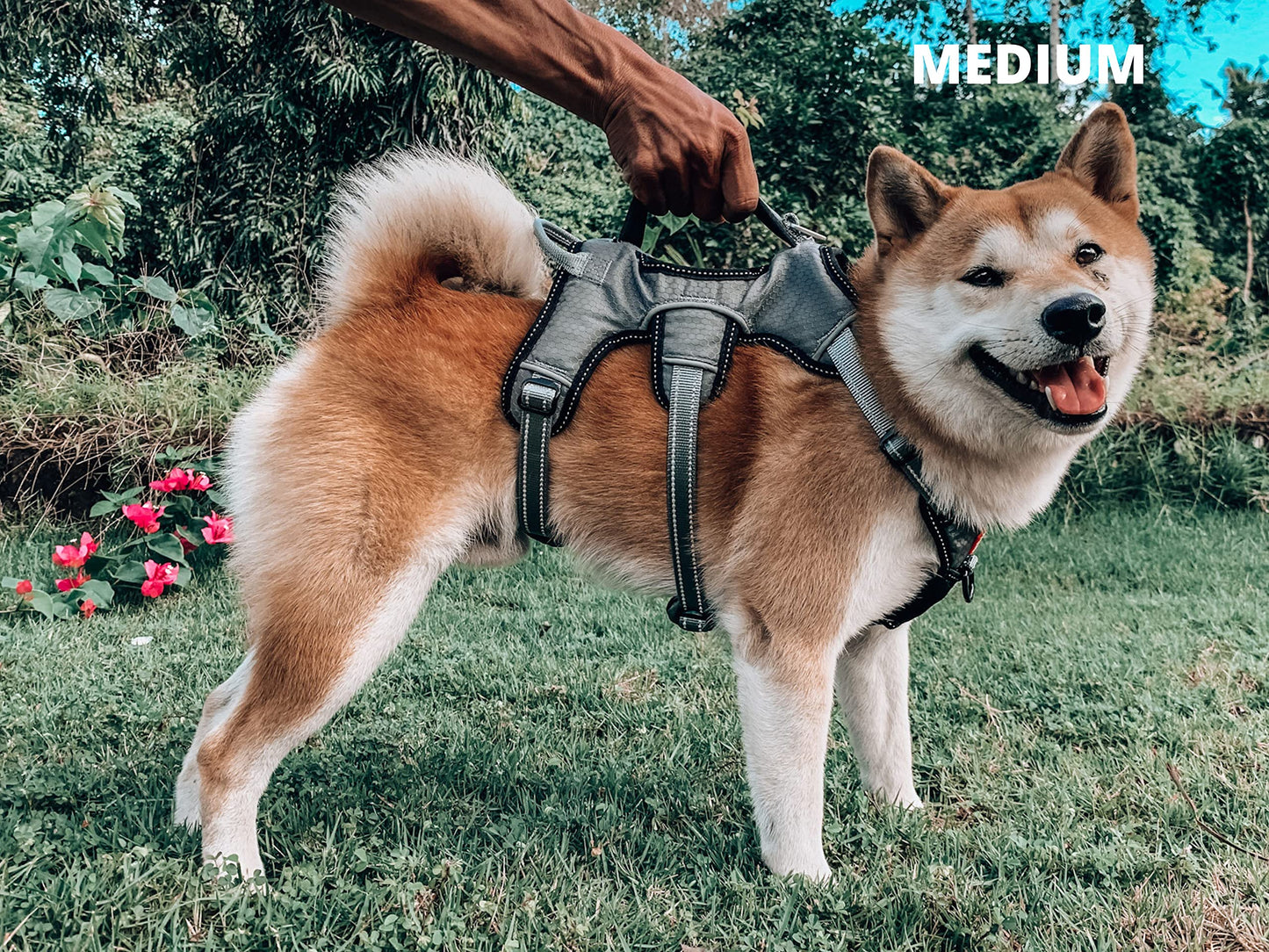 Tuff Pupper Escape Proof No Escape Dog Harness | 5 Point Adjustable Fit Harness for Dogs | Padded Dog Harnesses | Handle Dog Lift Harnesses