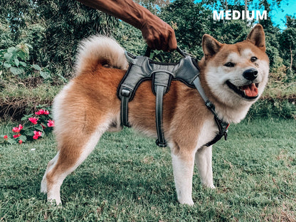 Tuff Pupper Escape Proof No Escape Dog Harness | 5 Point Adjustable Fit Harness for Dogs | Padded Dog Harnesses | Handle Dog Lift Harnesses