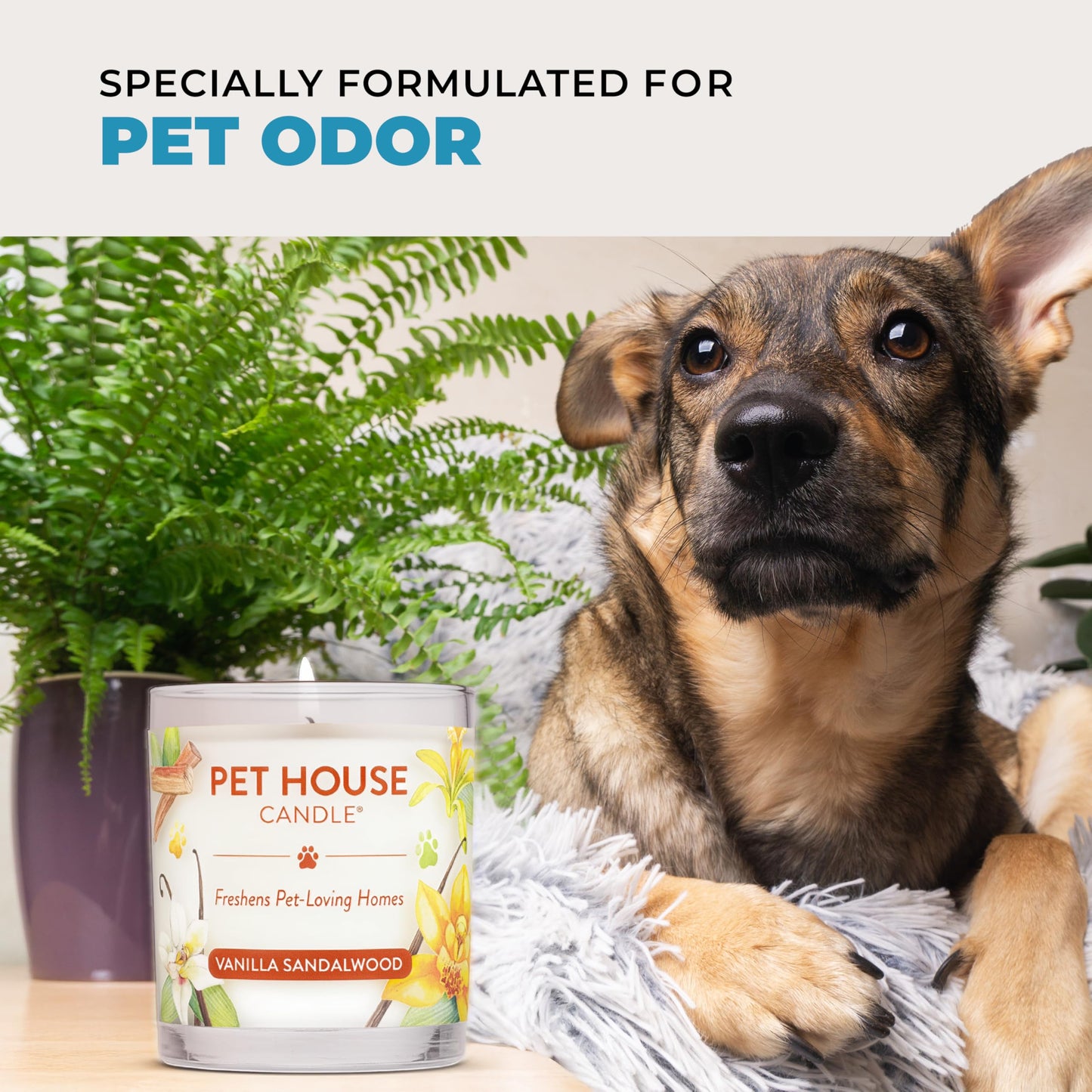 One Fur All Pet House Candle Plant-Based/Soy - Clean Burning Scented,Long Lasting Pet Odor Candle for Home - Sunwashed Cotton