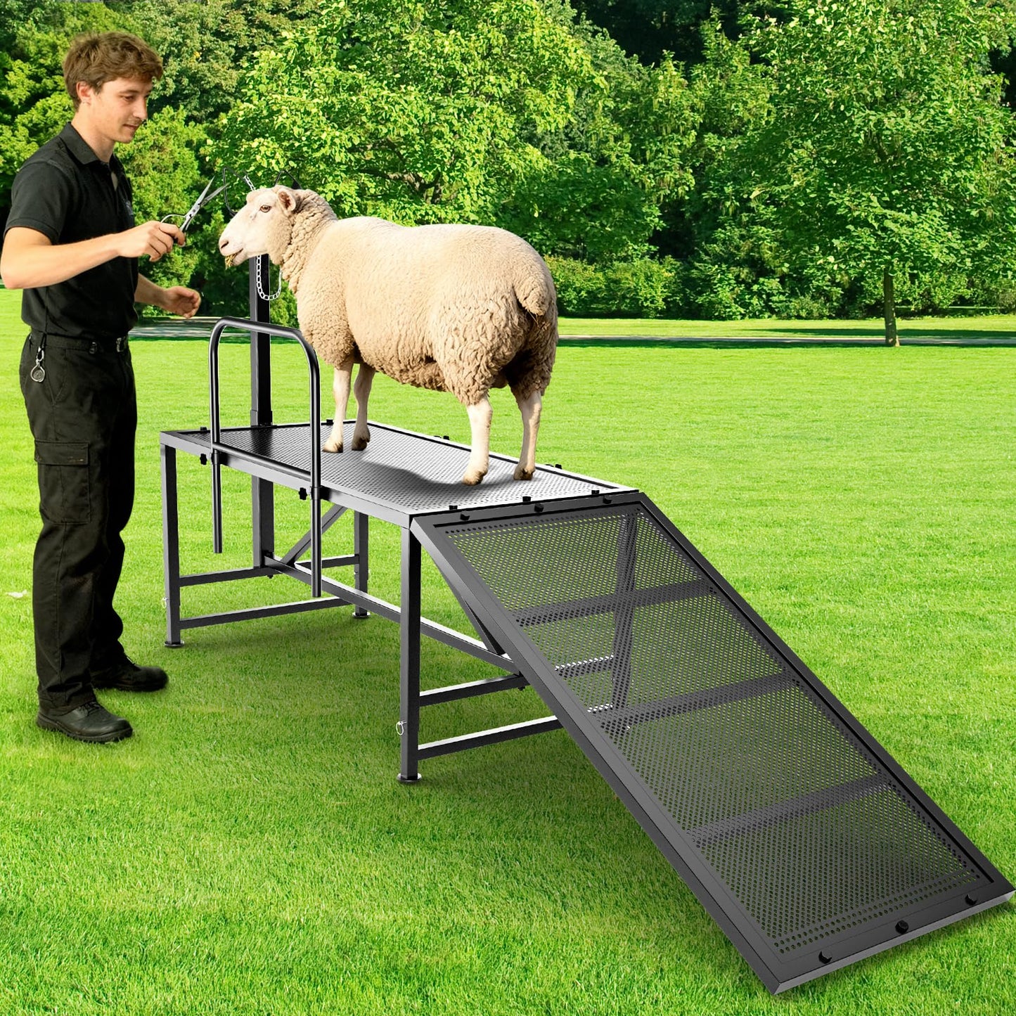 ZUIWAN Heavy Duty Sheep Trimming Stand with Ramp - Adjustable Livestock Grooming & Milking Stand for Goat, Sheep Shearing and Milking Frame