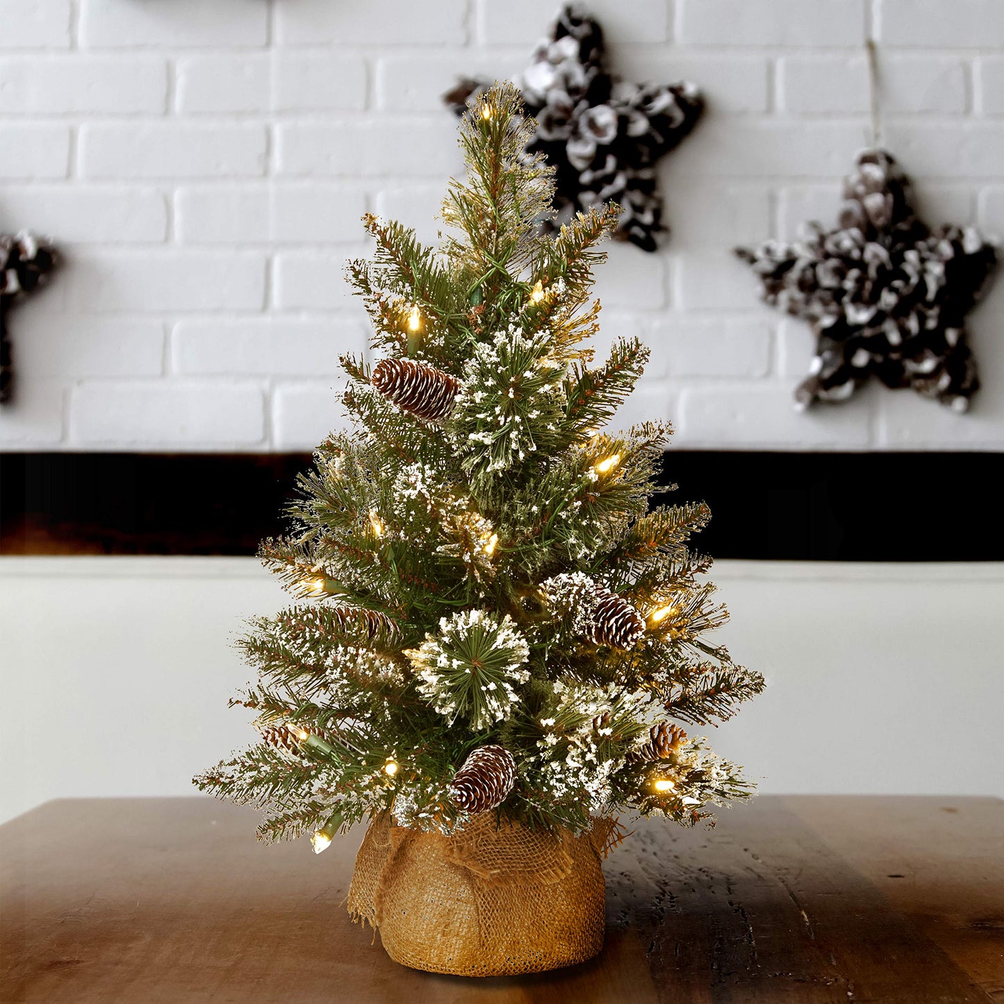 National Tree Company 2 ft Pre-Lit Glittery Bristle Mini Artificial Christmas Tree, 15 Warm White LED Lights, Pinecones, Timer, Burlap Base, Green