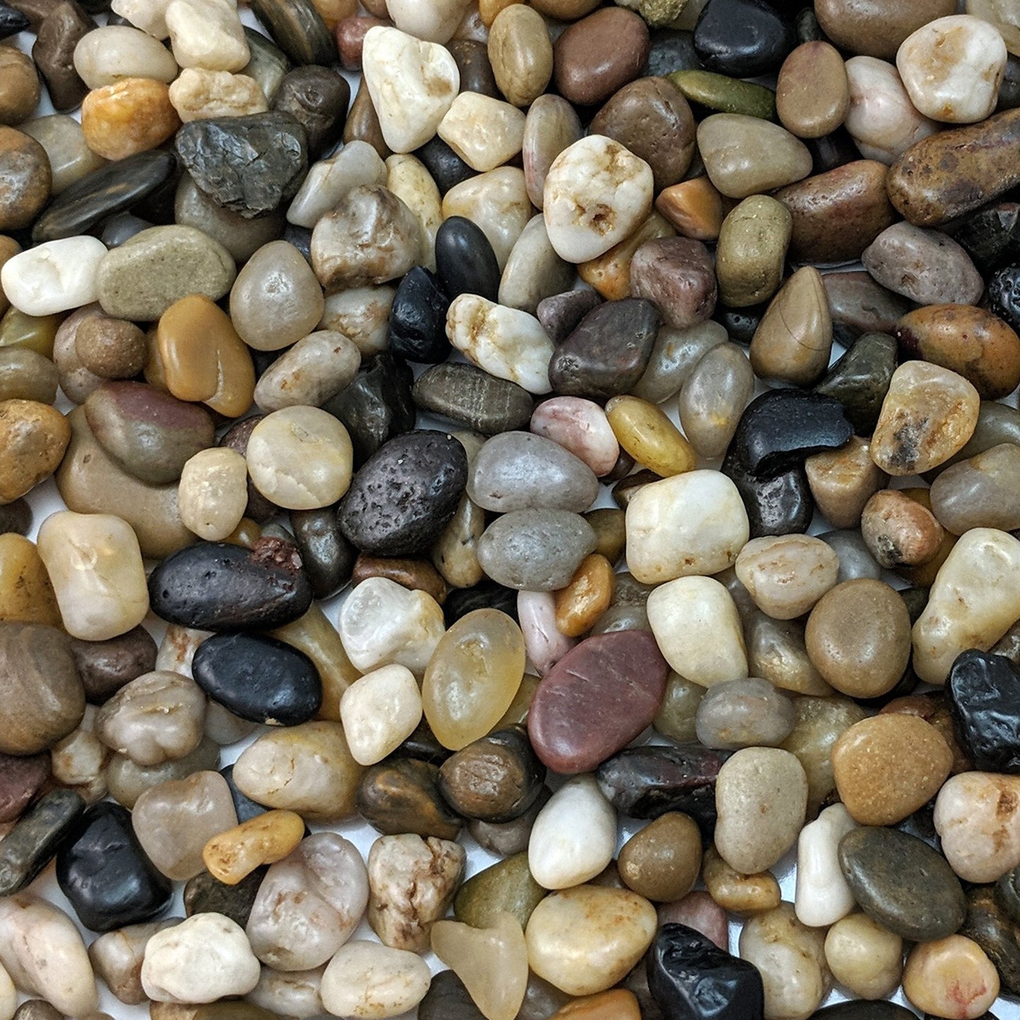 Midwest Hearth Decorative Mixed Pebbles for Plants & Terrariums | Polished Natural Stones | 3/8" Size (5-lb Bag)