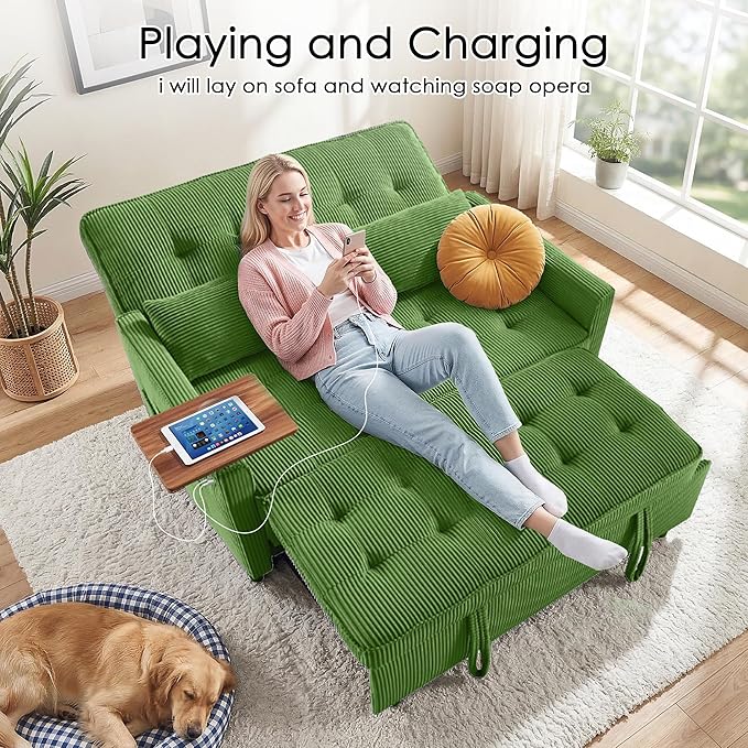 Sleeper Sofa Bed, Guest Room