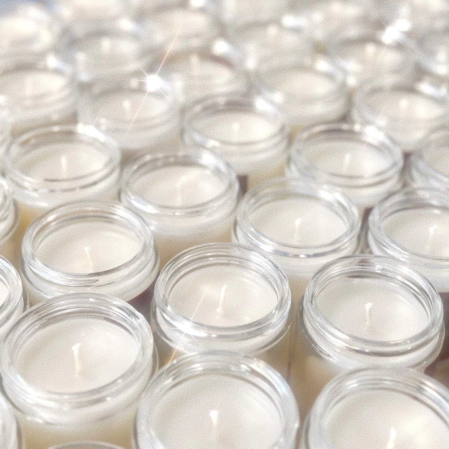 Pet Safe Candle for Dogs | Non Toxic Coconut Apricot Wax Candle | Clean Burning, Paraffin-Free | Pet Odor Eliminating Home Fragrance | Harvest Howls | 4 oz
