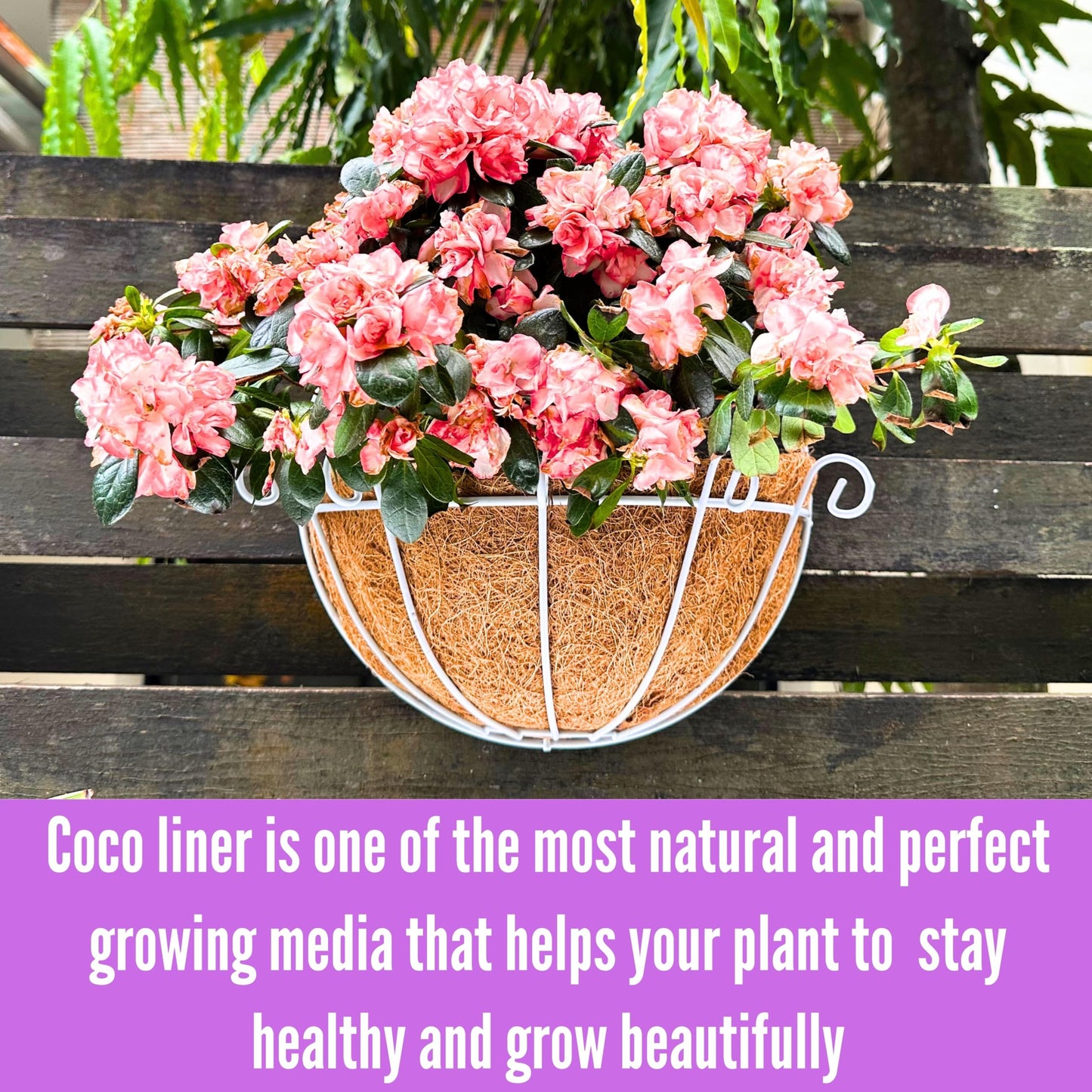 Shoplala Wall Planters Outdoor Plants (2 Pack, 10 Inch) White Metal Wall Mounted Flower Basket with Coco Liner, Balcony Planters Railing Hanging Fence Planter Wire Deck Porch Patio Modern Garden Decor