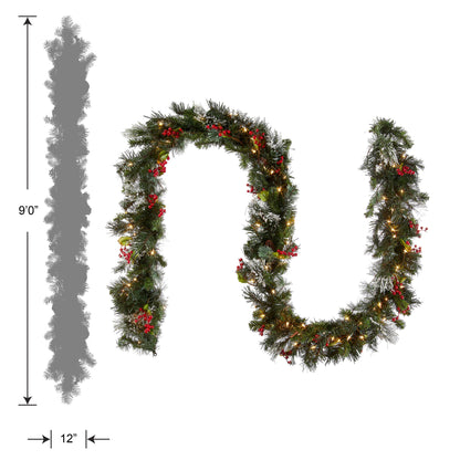 National Tree Company 9 ft Pre-Lit Wintry Pine Flocked Artificial Christmas Garland, Christmas Decoration with Pinecones, Red Berries, 100 Clear Lights, 184 Tips, Green