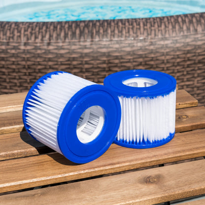 Clearwater Filter Cartridge Cleaner Solution for Hot Tubs and Swimming Pools, Up to 20 Uses, 1 Litre