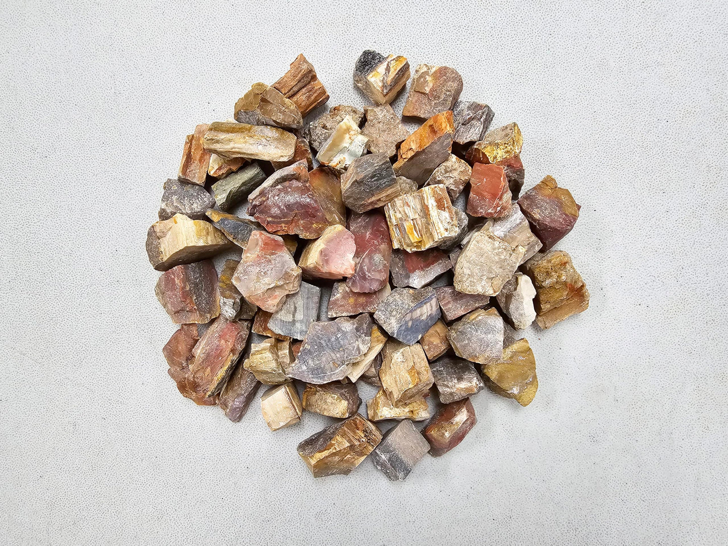MINERALUNIVERSE Half Pound Petrified Wood Rough Stones - Bulk Petrified Wood - Raw Natural Stones & Crystals - Fountain Rocks for Tumbling, Polishing, Wire Wrapping, Reiki, Chakra Crystal Healing